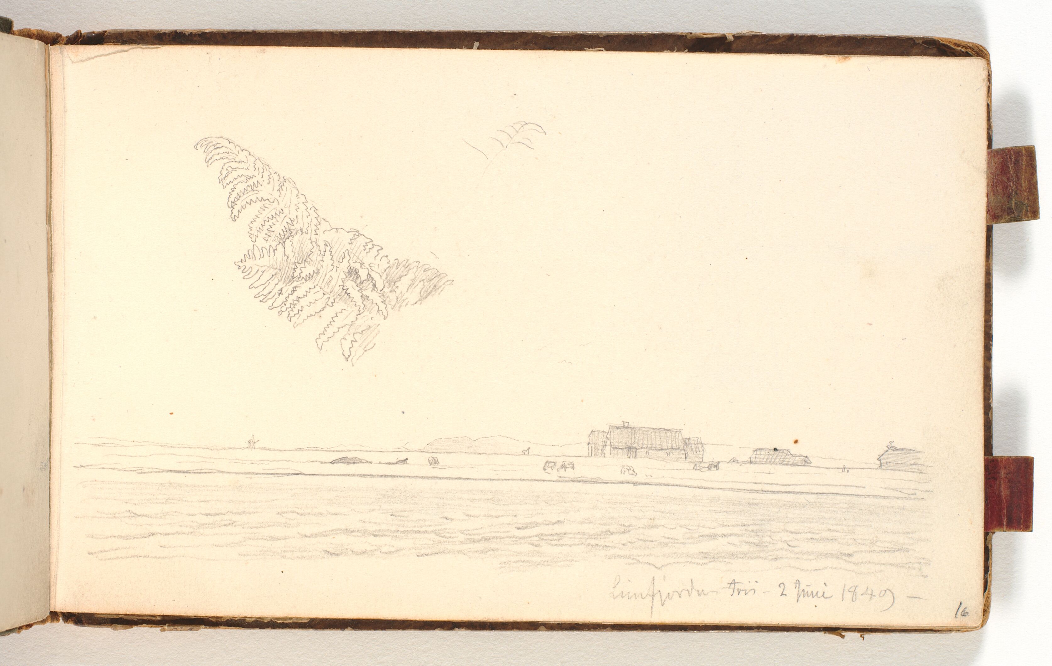 Landskabsstudie fra Limfjordsegnen og to bregne studier