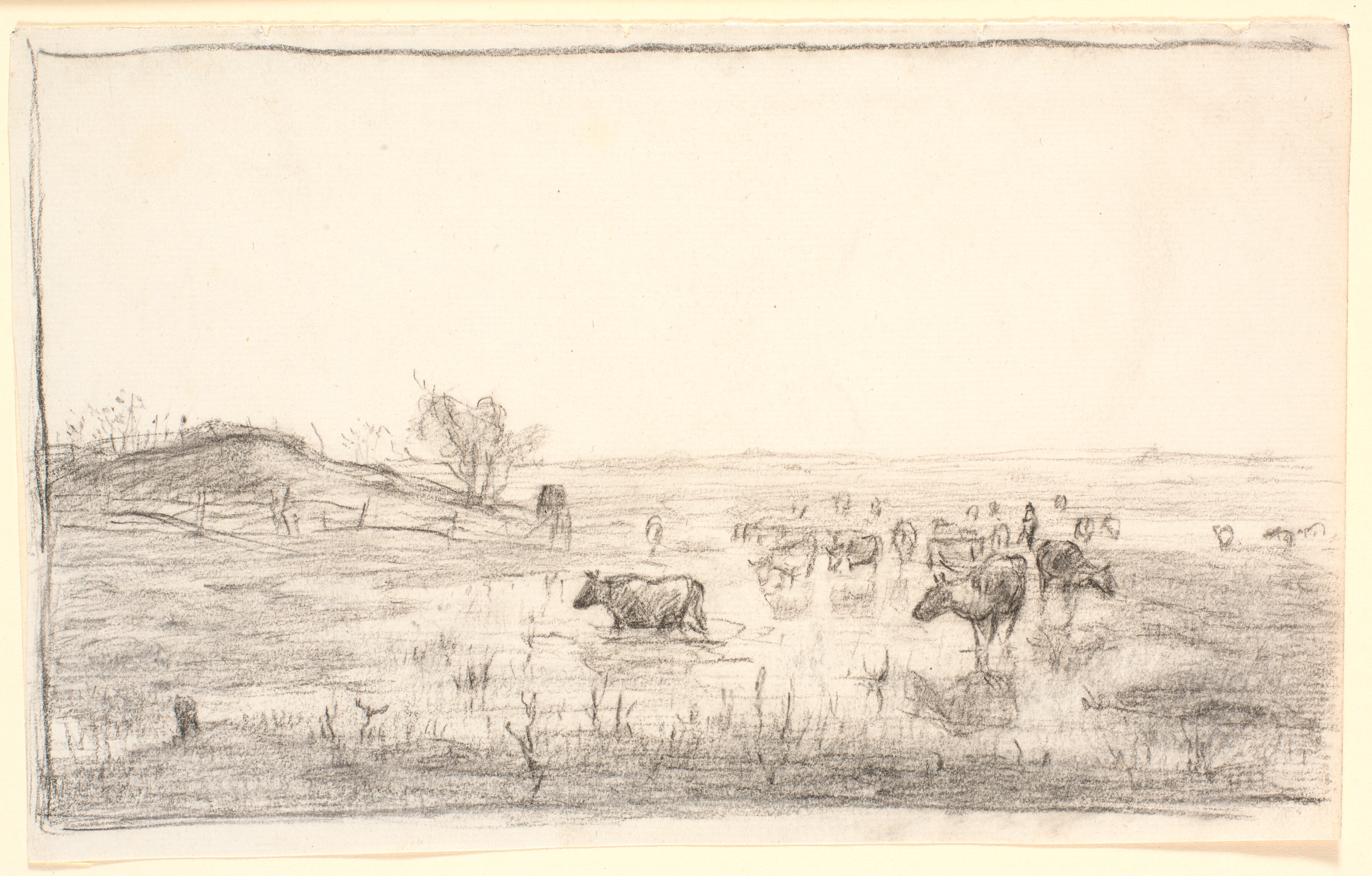 Køer på engene ved Mejlgaard