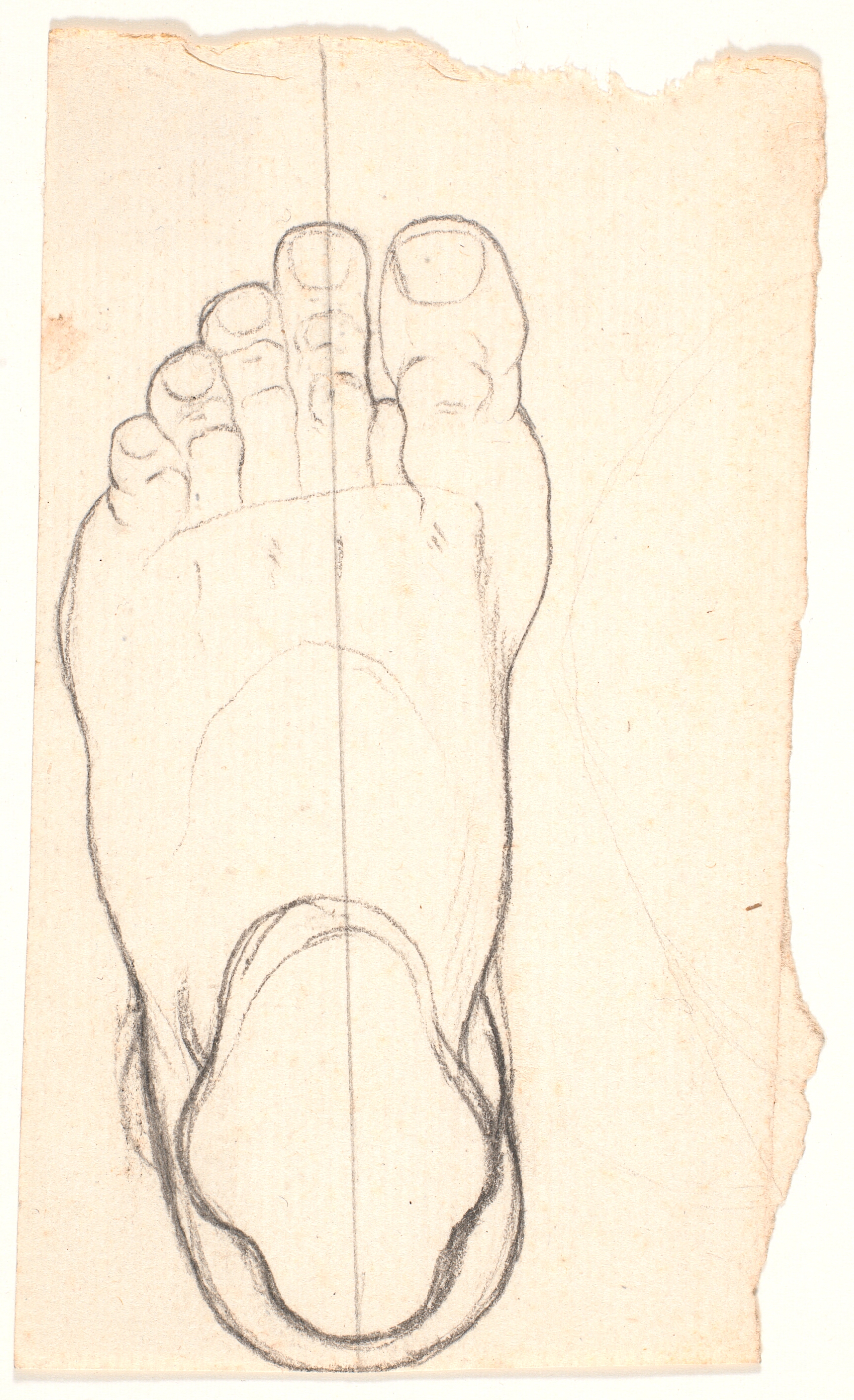 Skitse af en fod set fra oven. Hælen t.v.