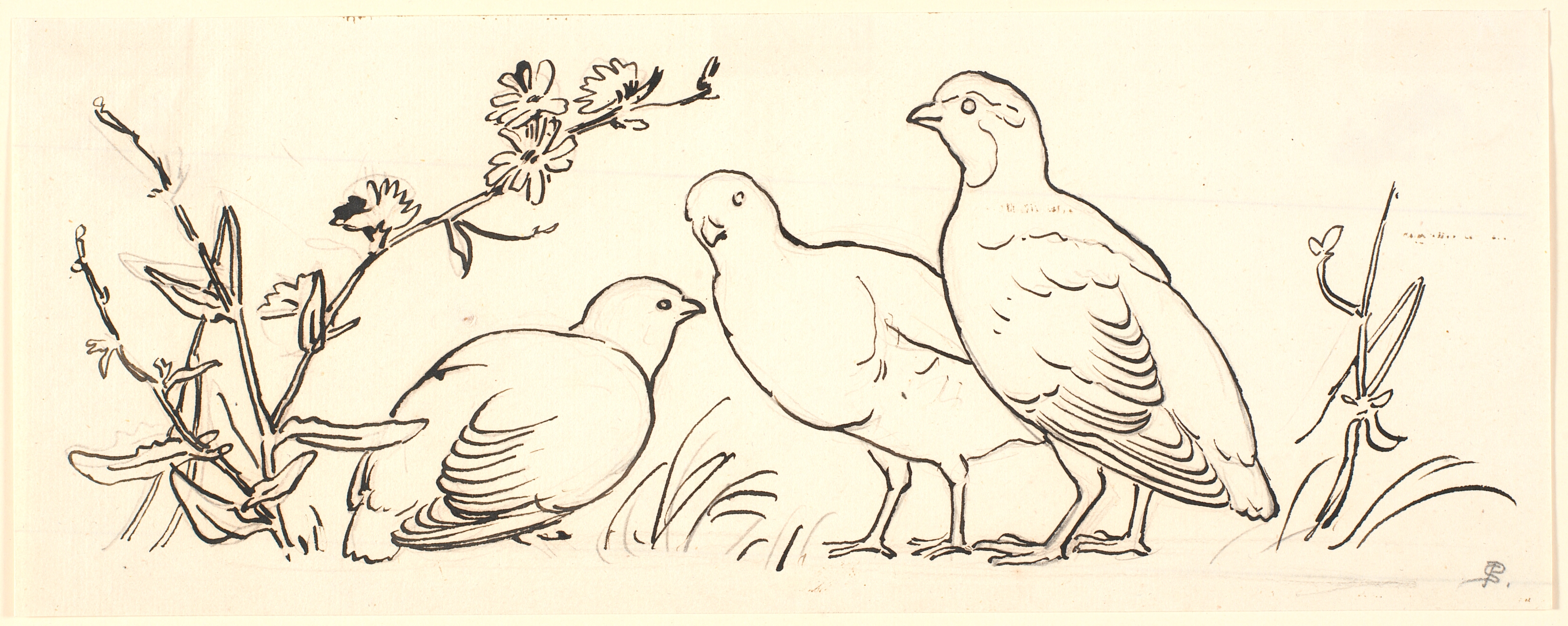 Tre agerhøns. Dekorativt udkast.