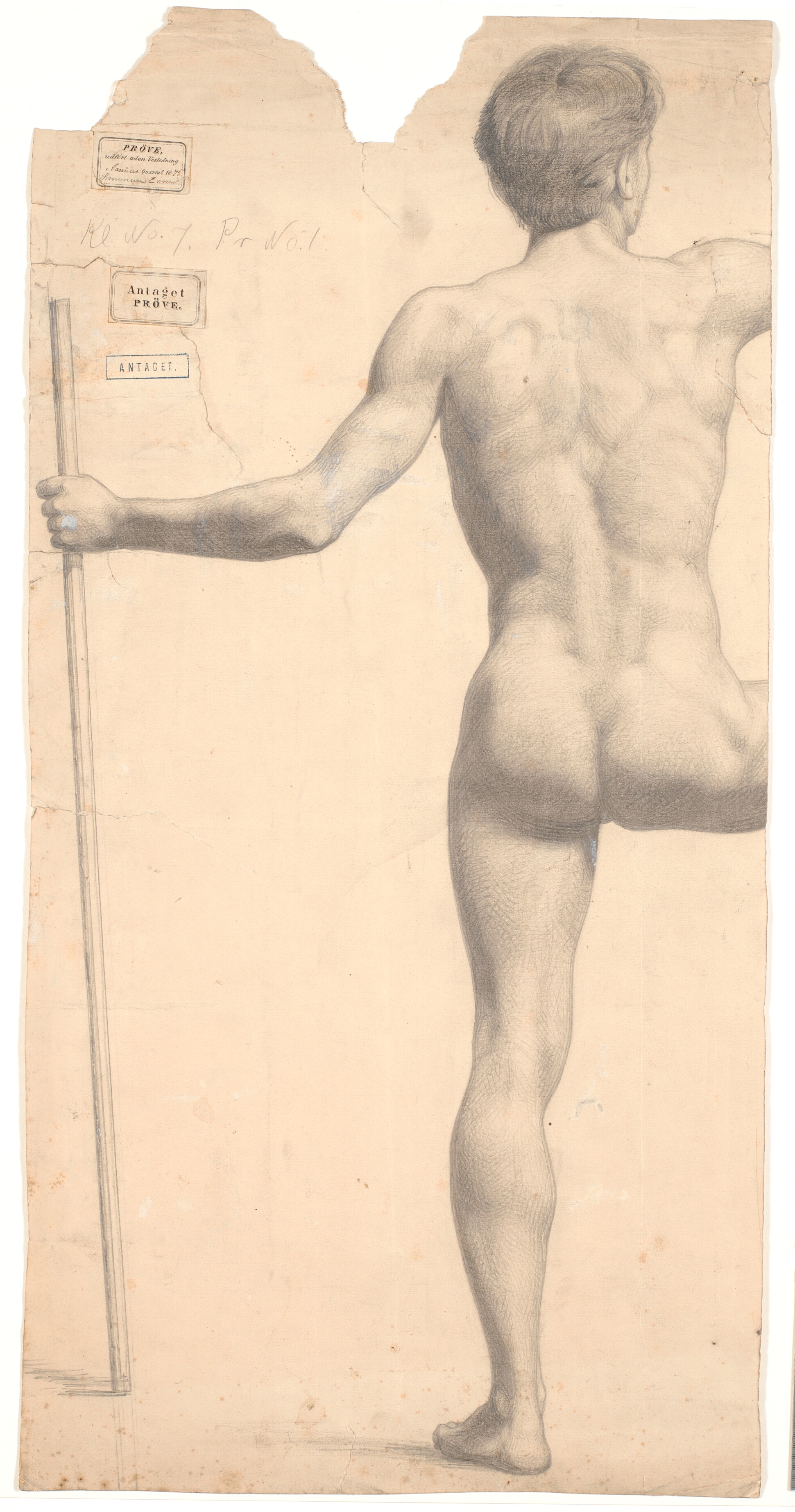 Stående mandlig model, set fra ryggen, stav i ventre hånd, højre arm og ben afskåret