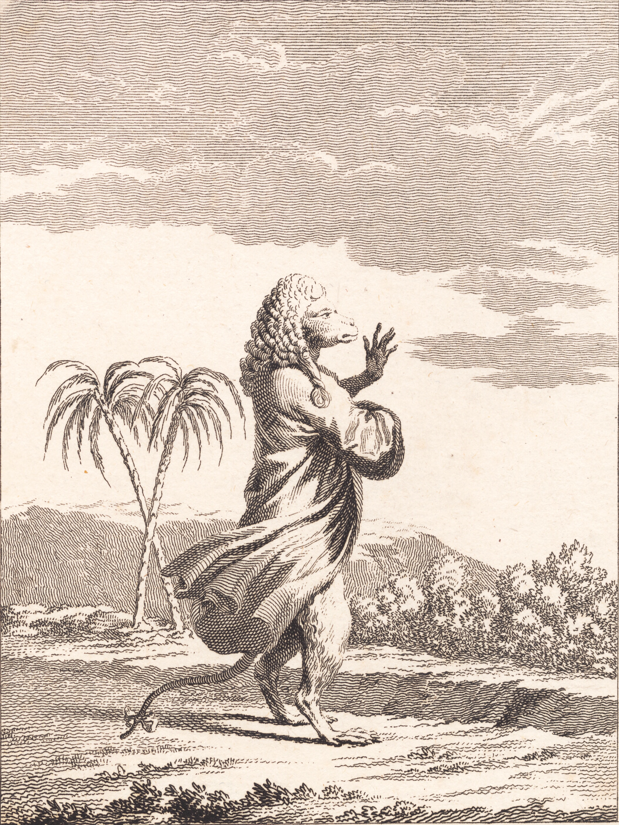 En martiniansk abekat