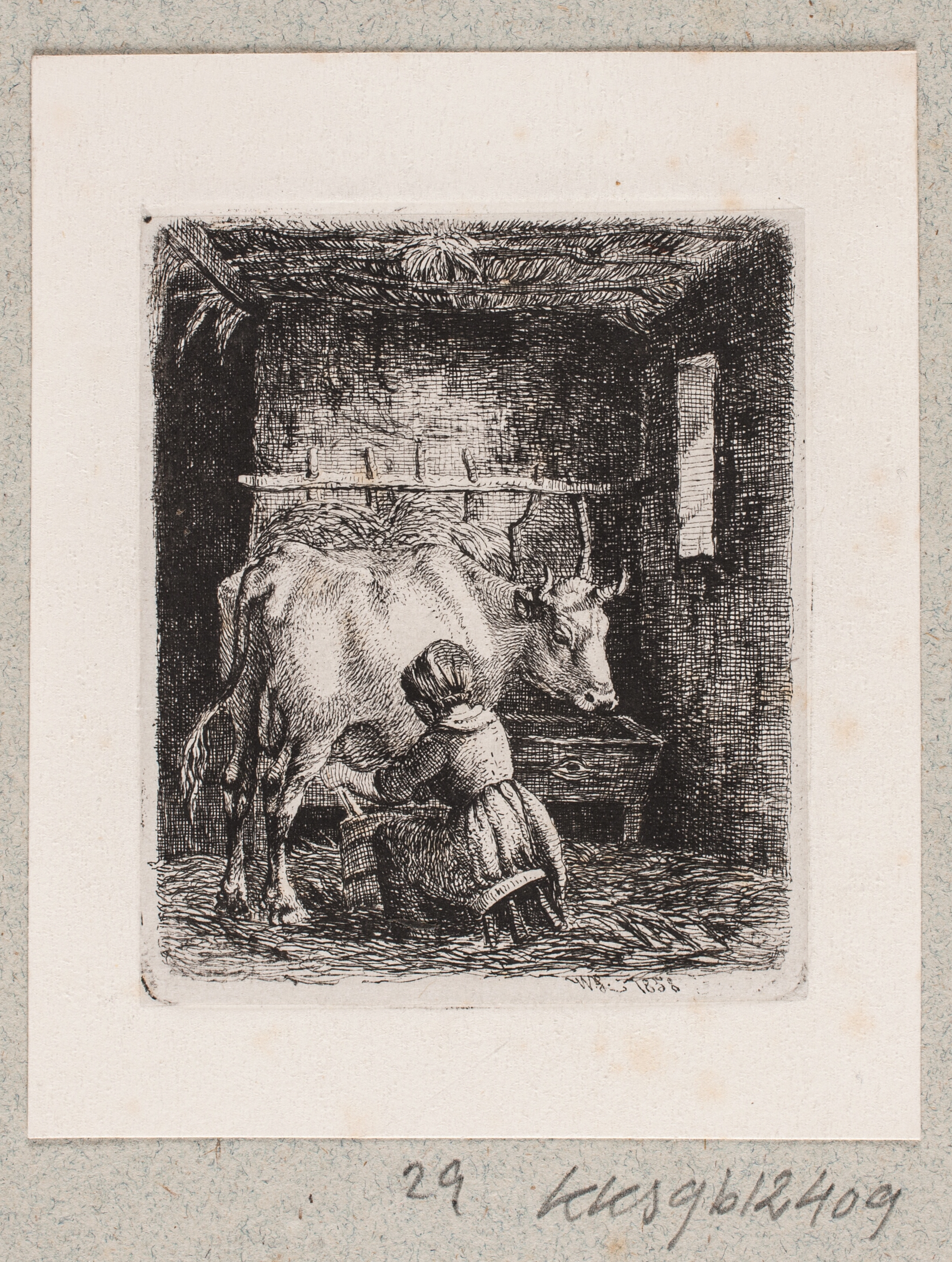 En pige malker en ko