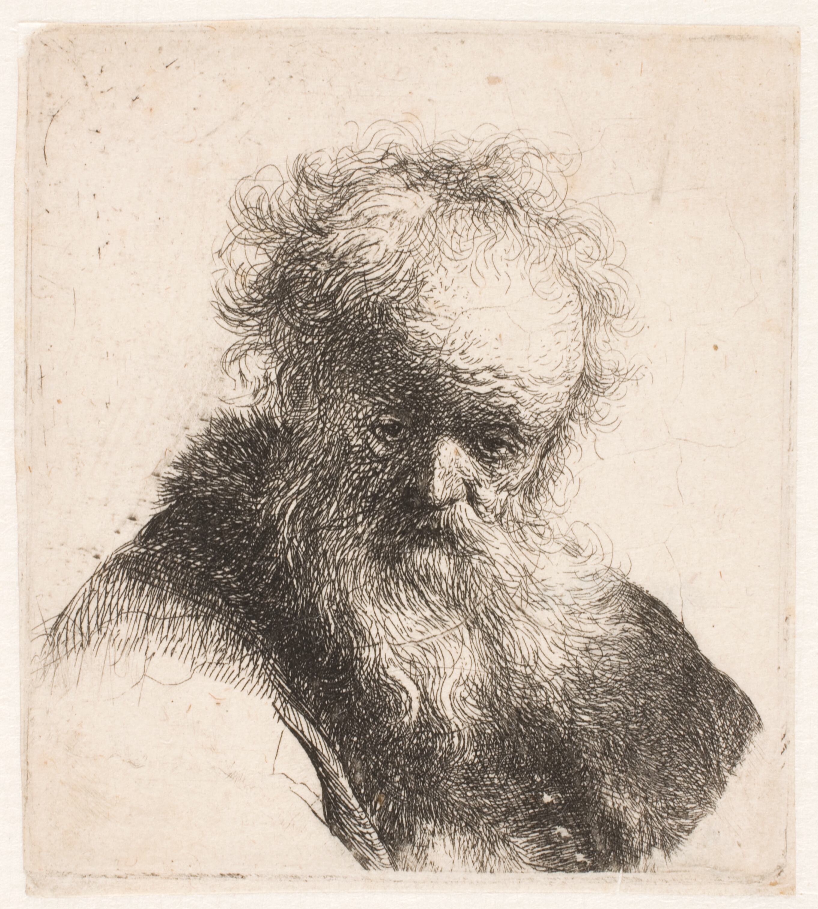 Hoved af en gammel mand