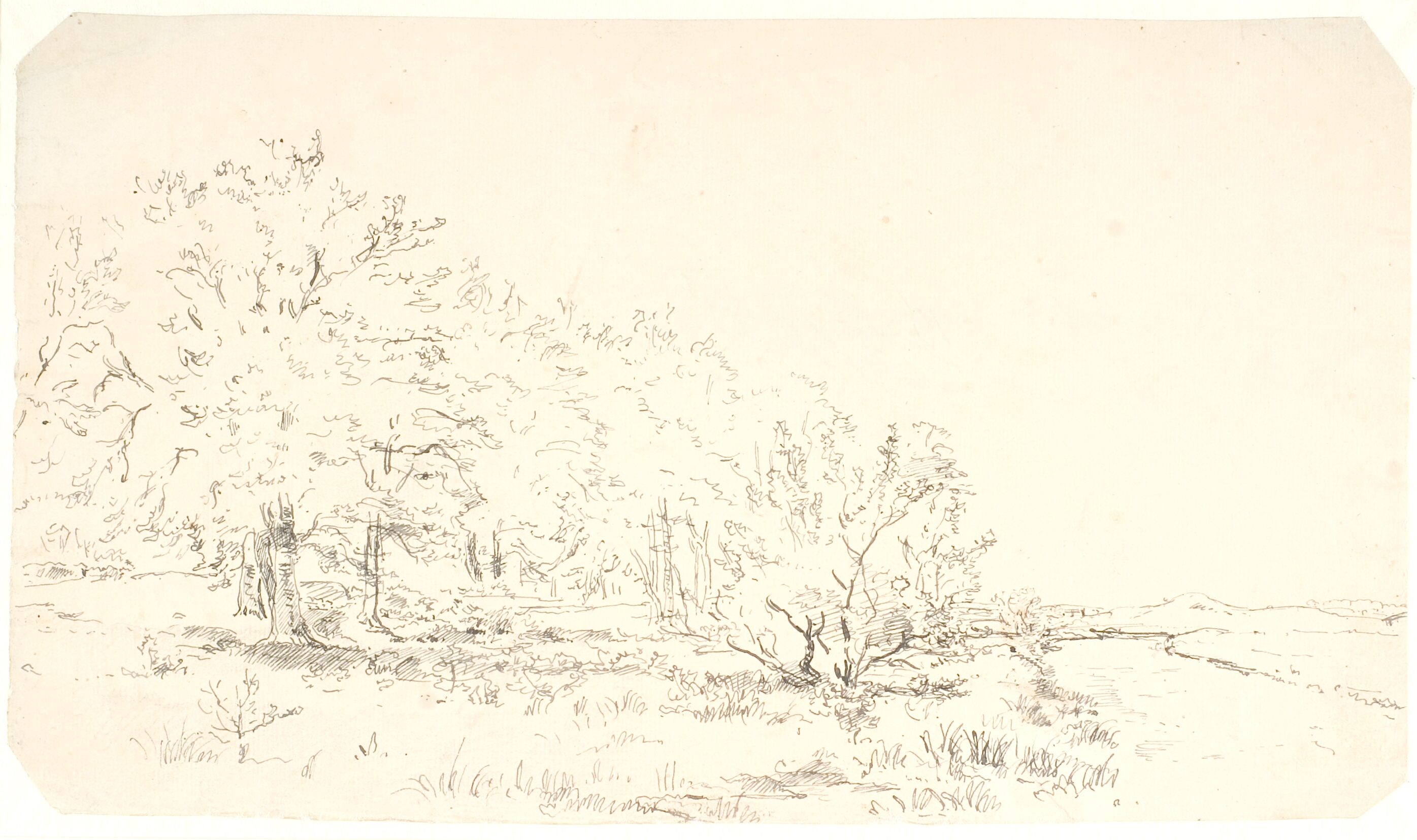 Parti af en skov, der t.h. når ud til bredden af en å