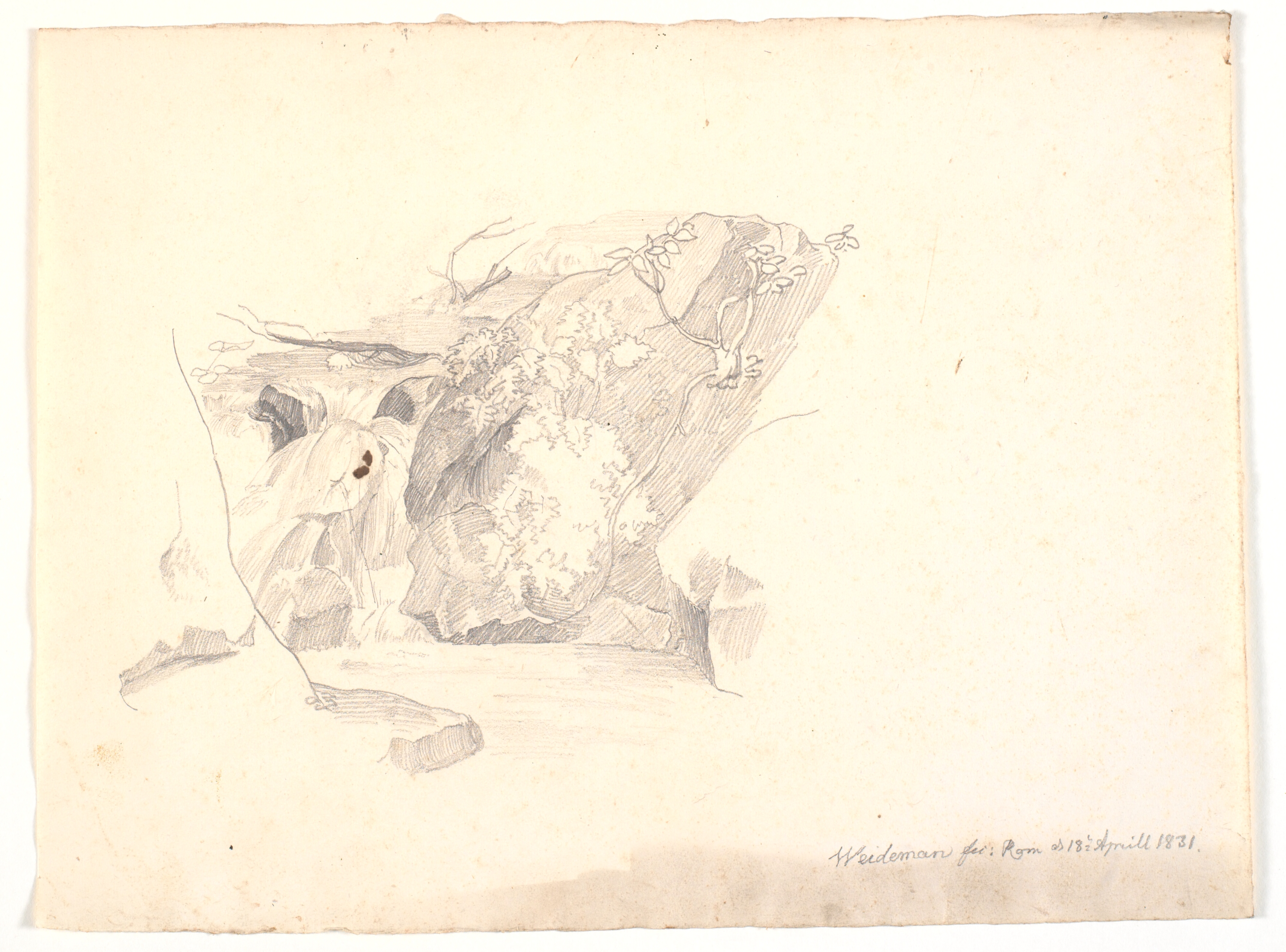 Et klippeparti, med sparsom bevoksning