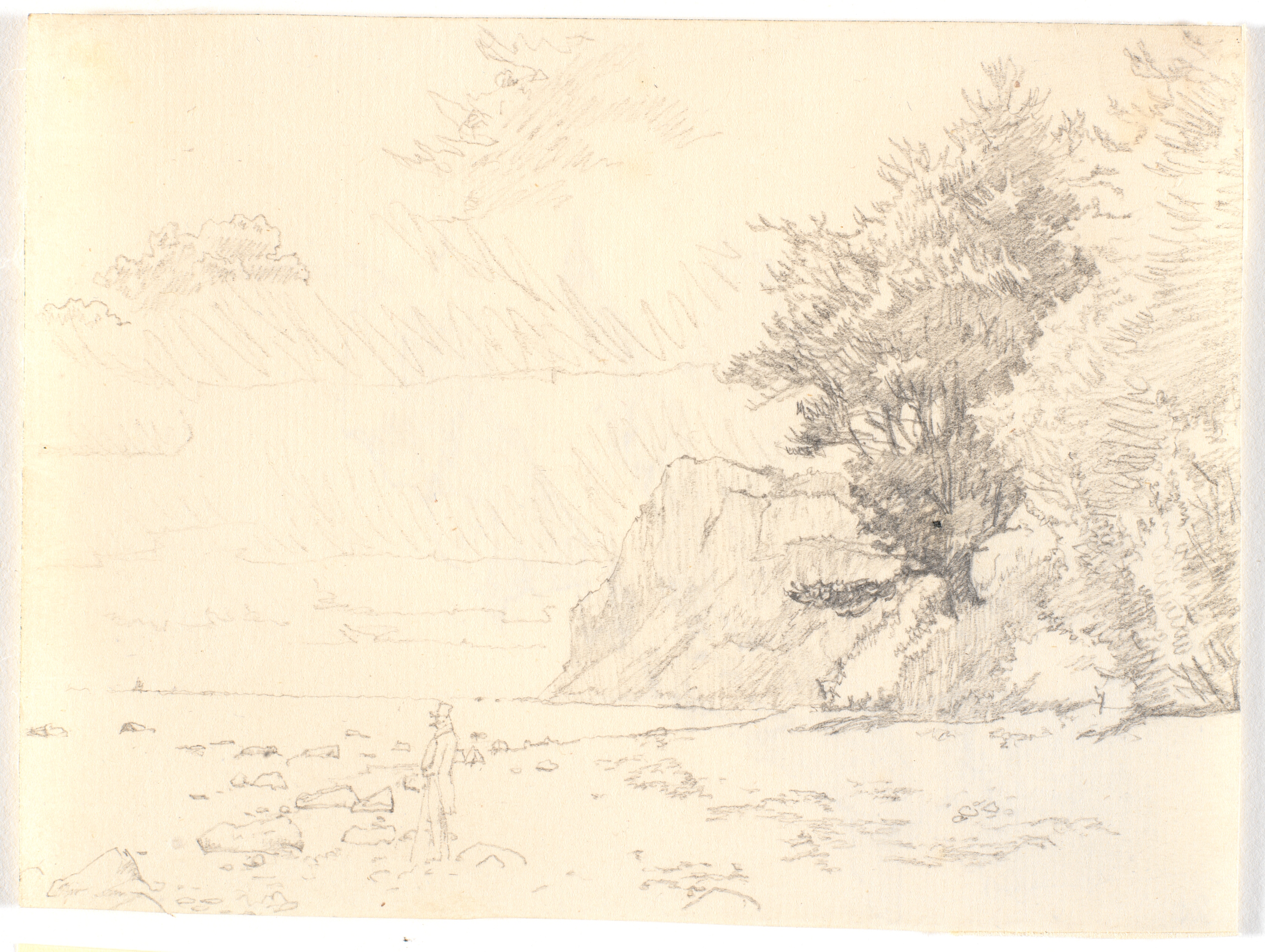 Parti af Møens Klint