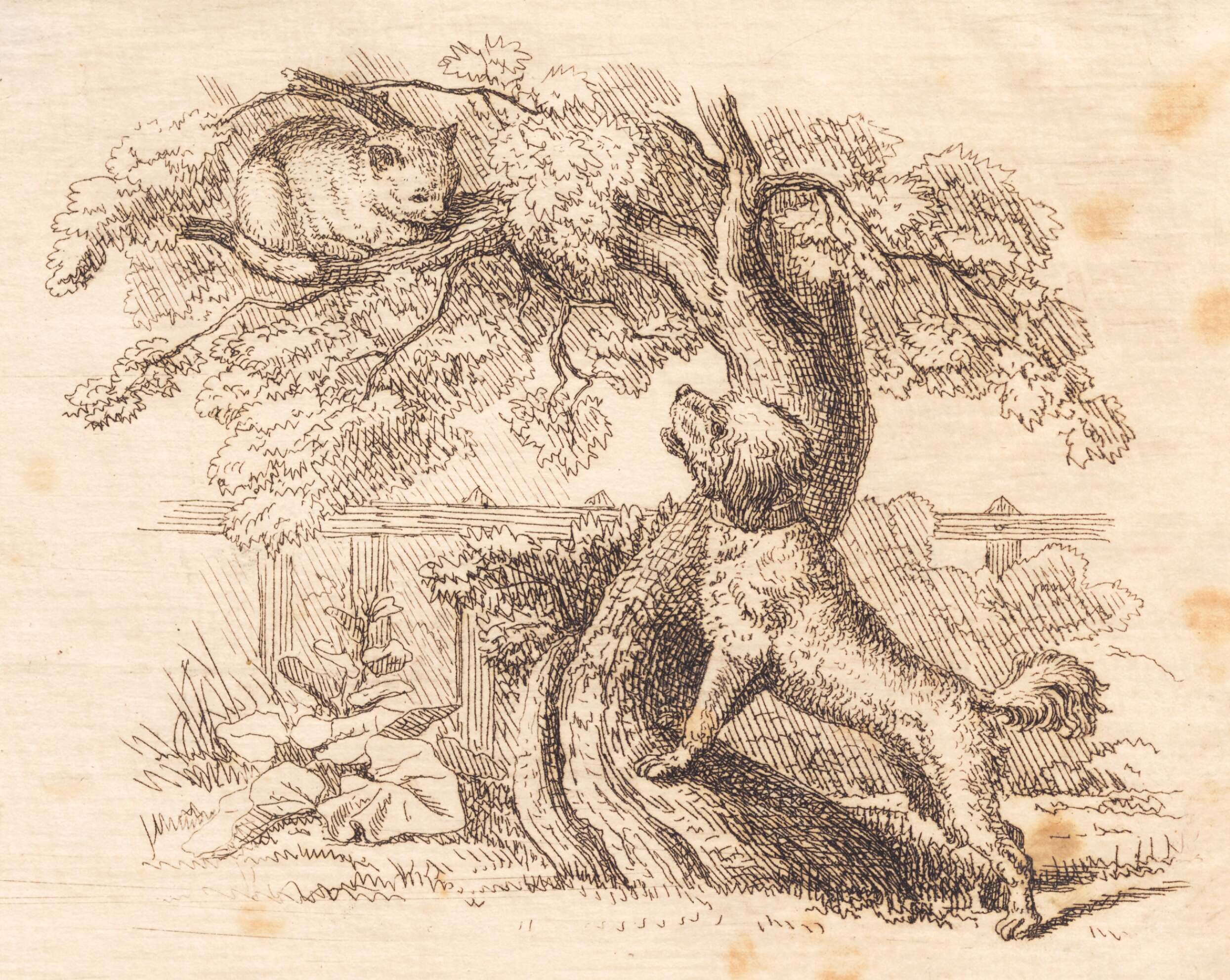 Illustration til "Halvhundrede Fabler for Børn" af Hey