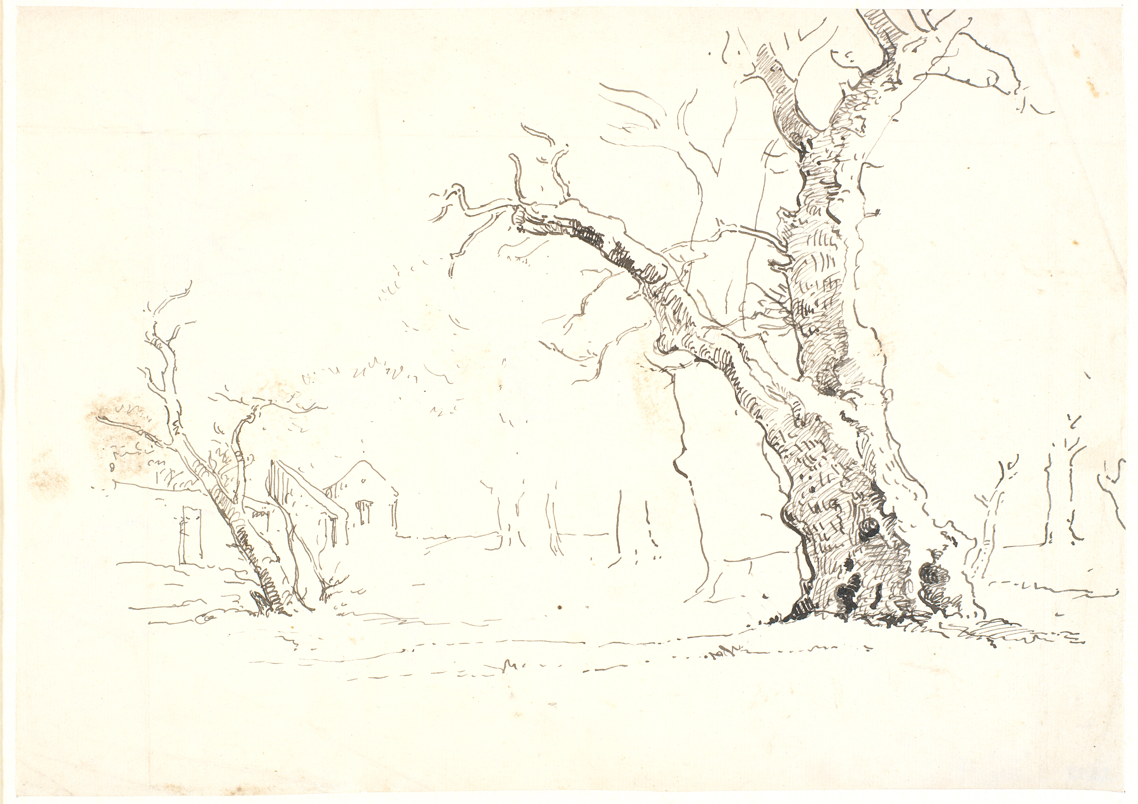 Landskab med store egetræer, t.v. nogle huse