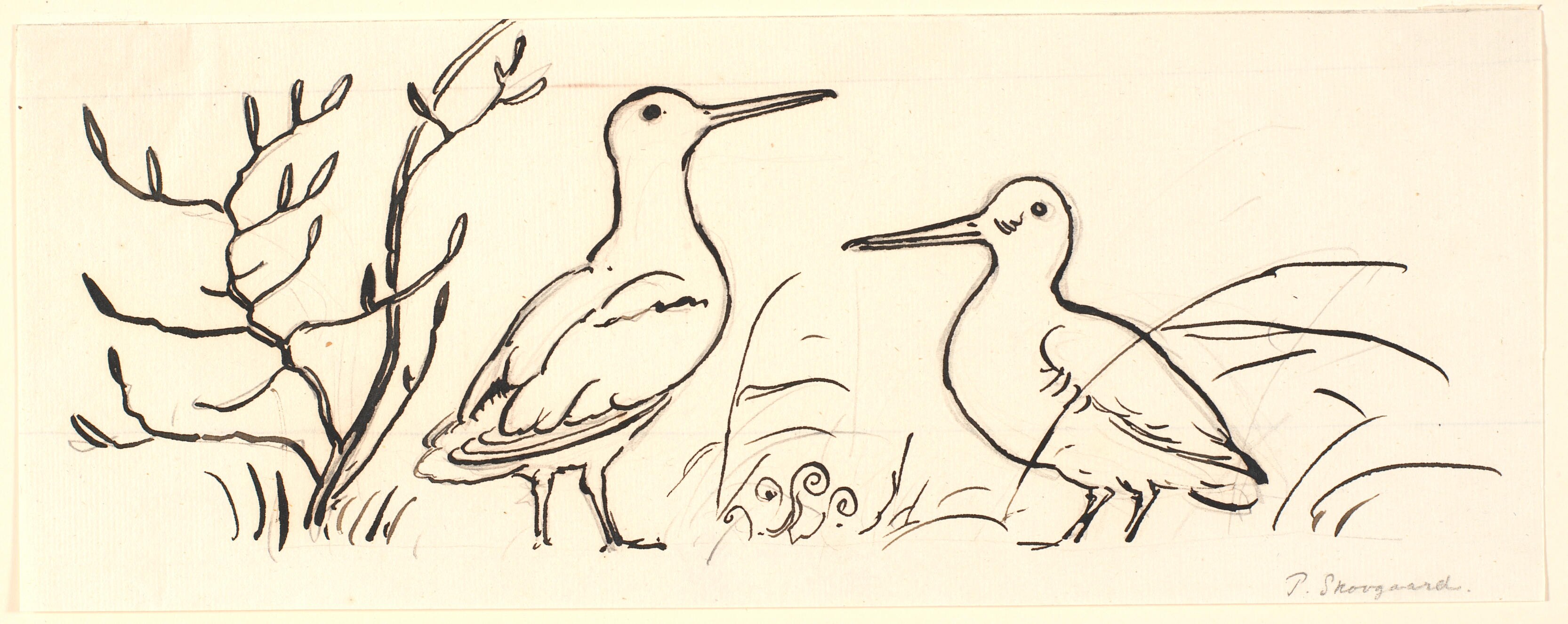 To snepper. Dekorativt udkast.