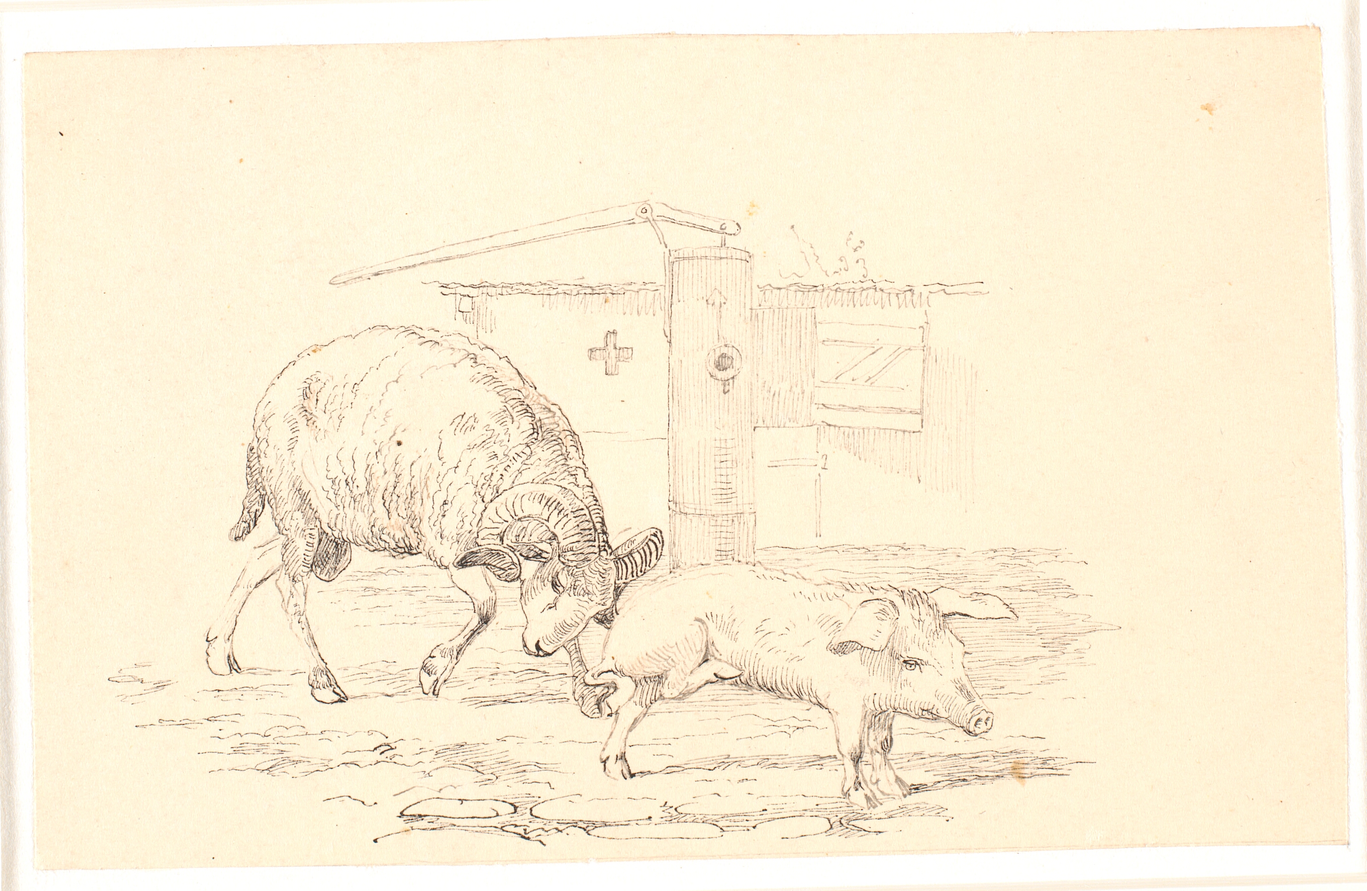 Væderen og grisen. Illustration til Kaalunds "Fabler for Børn". Se kommentar fra arkkatalog.