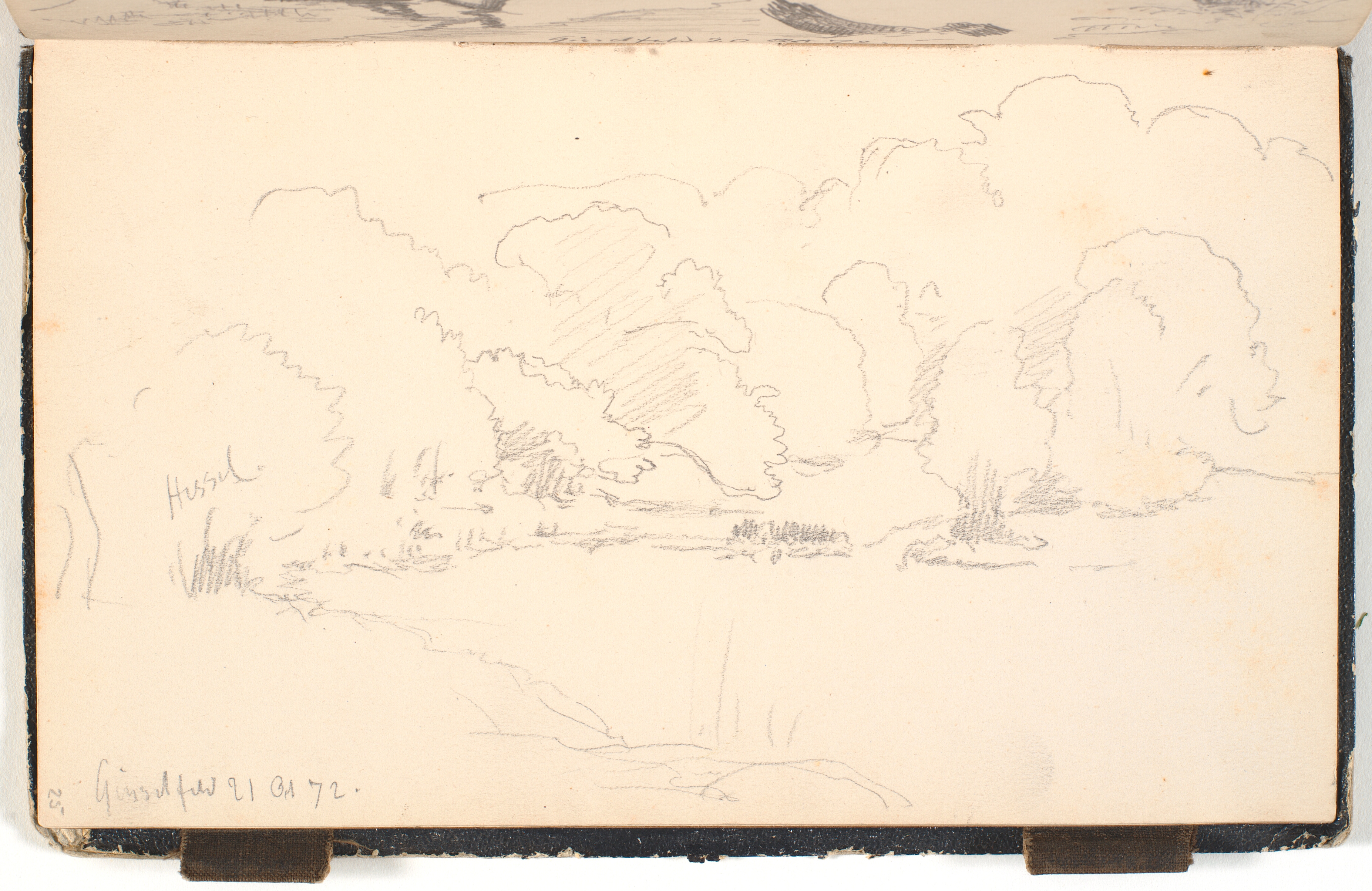 Skovsø. På bredden står store træer