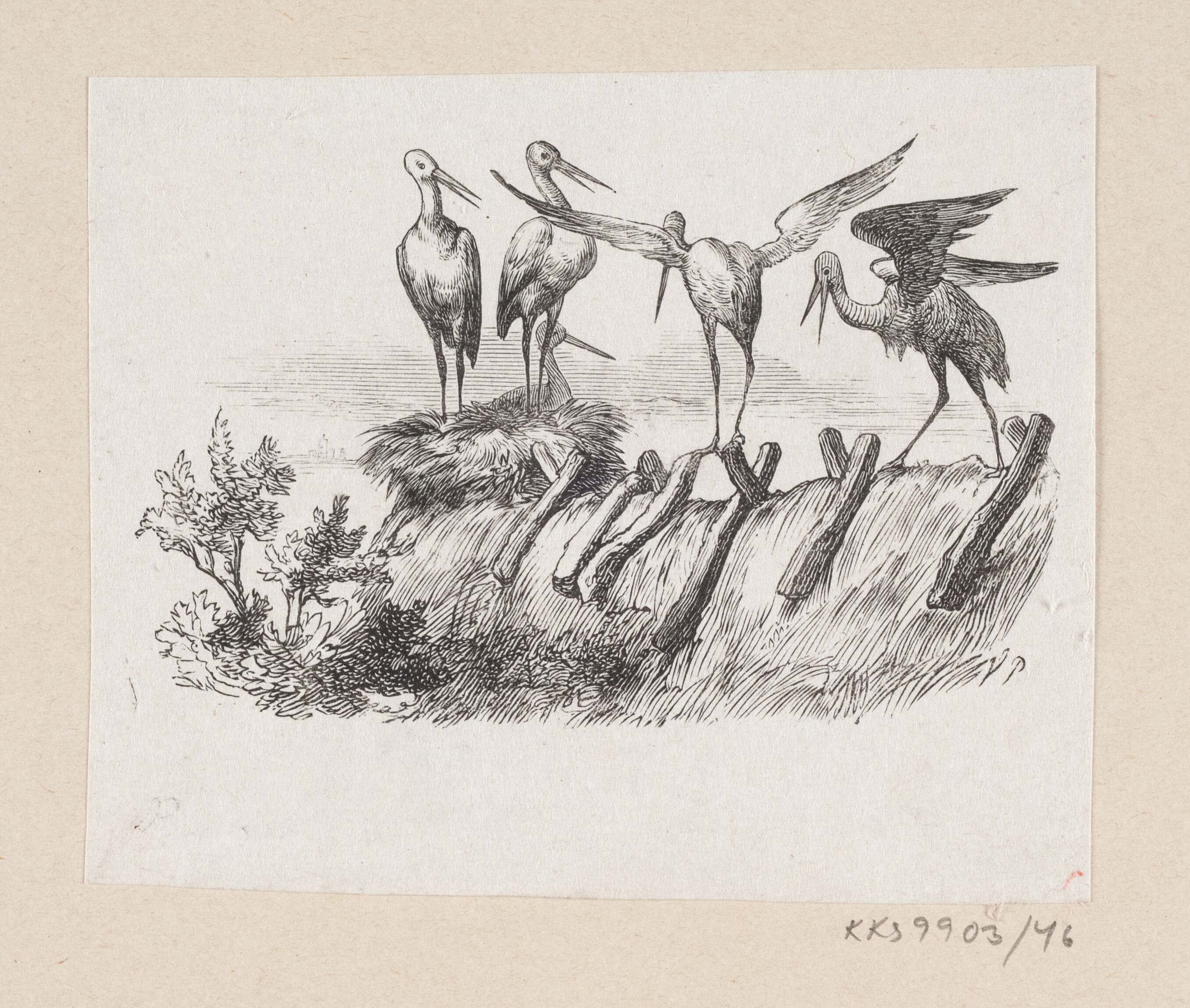 Illustration til "Storkene" i H.C. Andersen, "Eventyr og Historier", Bind 1