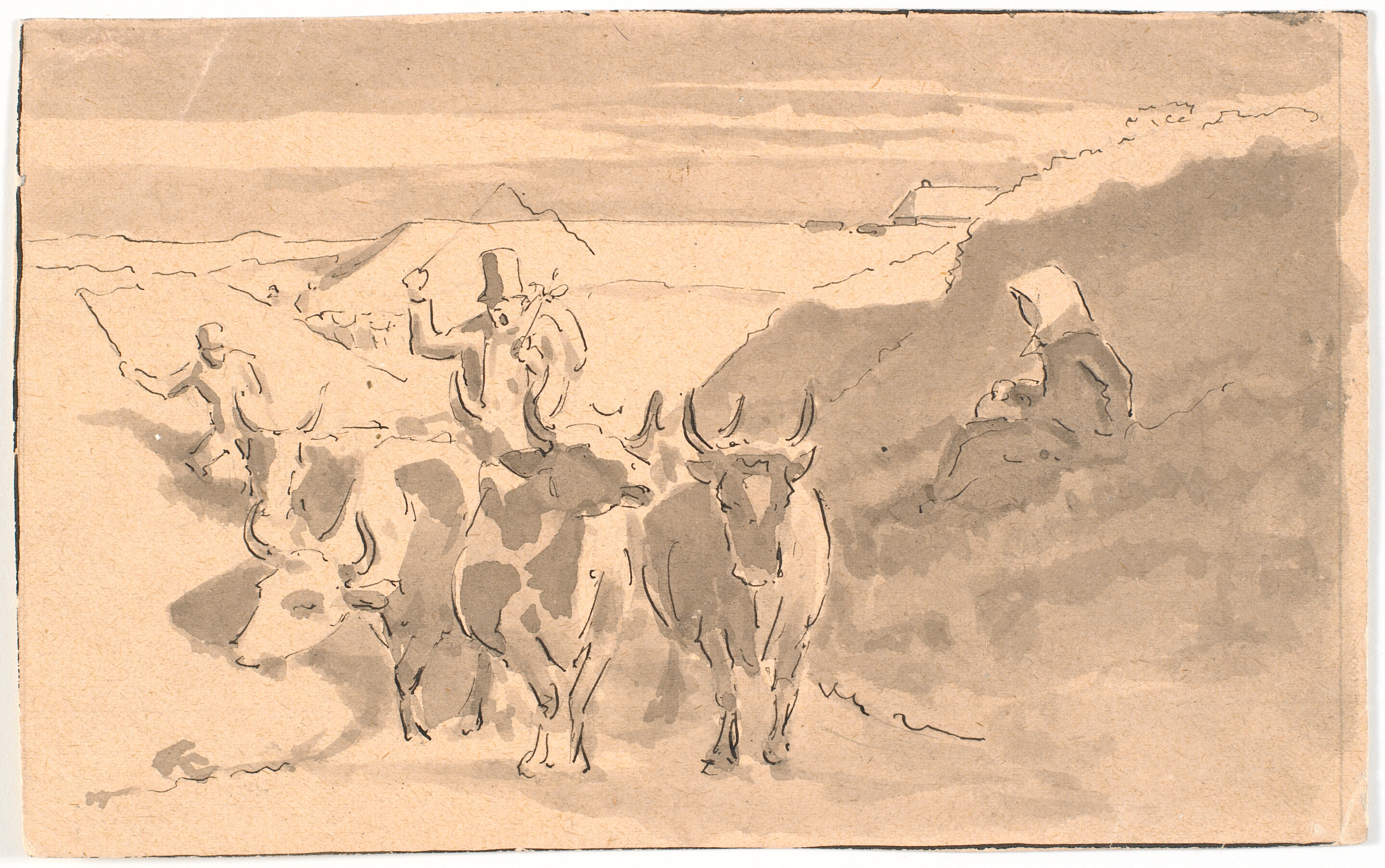 En drift stude i en hulvej