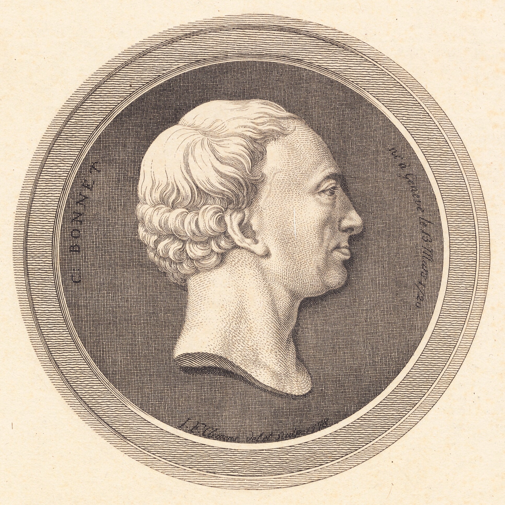 Reliefmedaillon med portræt af Bonnet