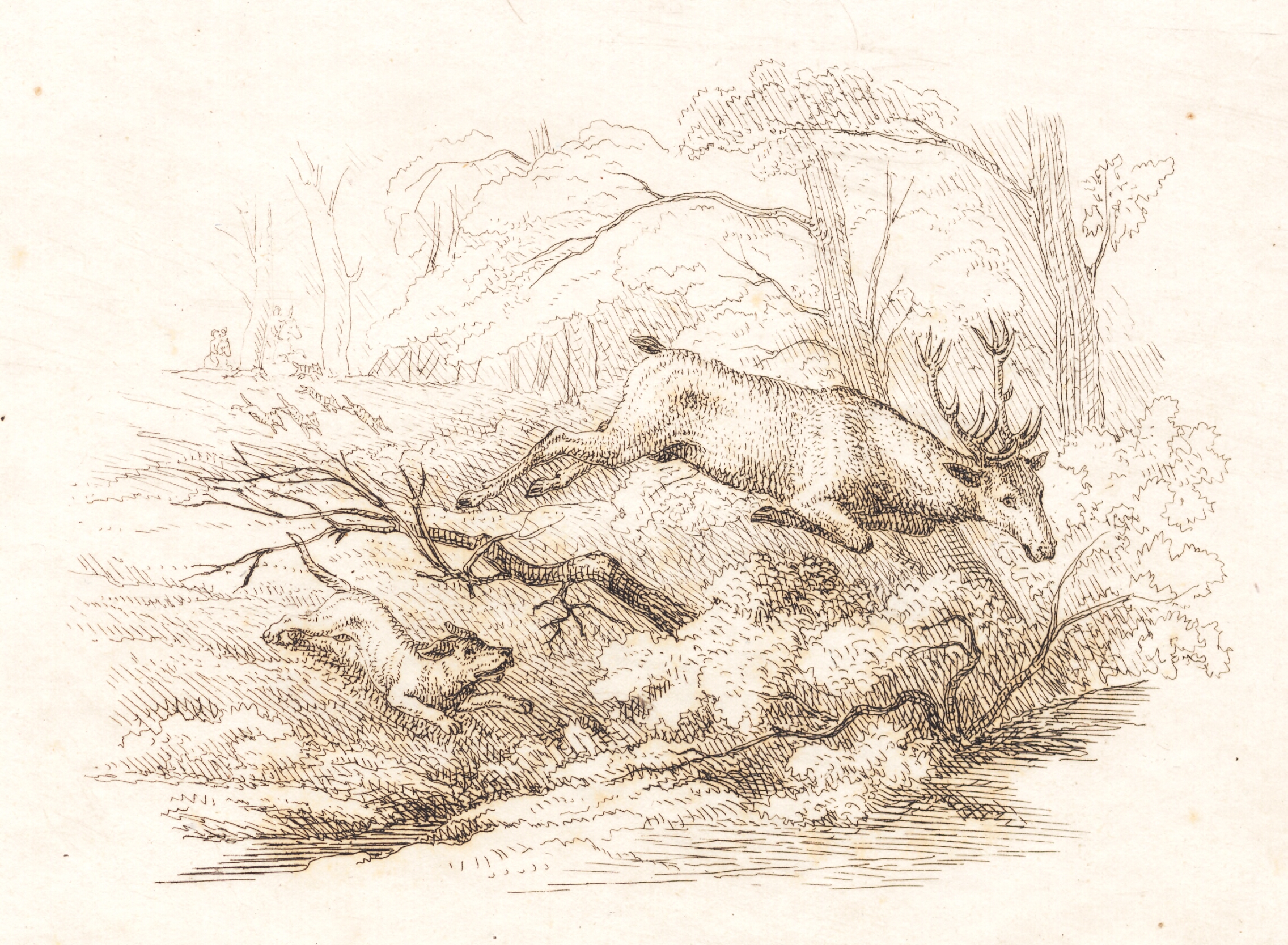 Illustration til "Halvhundrede Fabler for Børn" af Hey