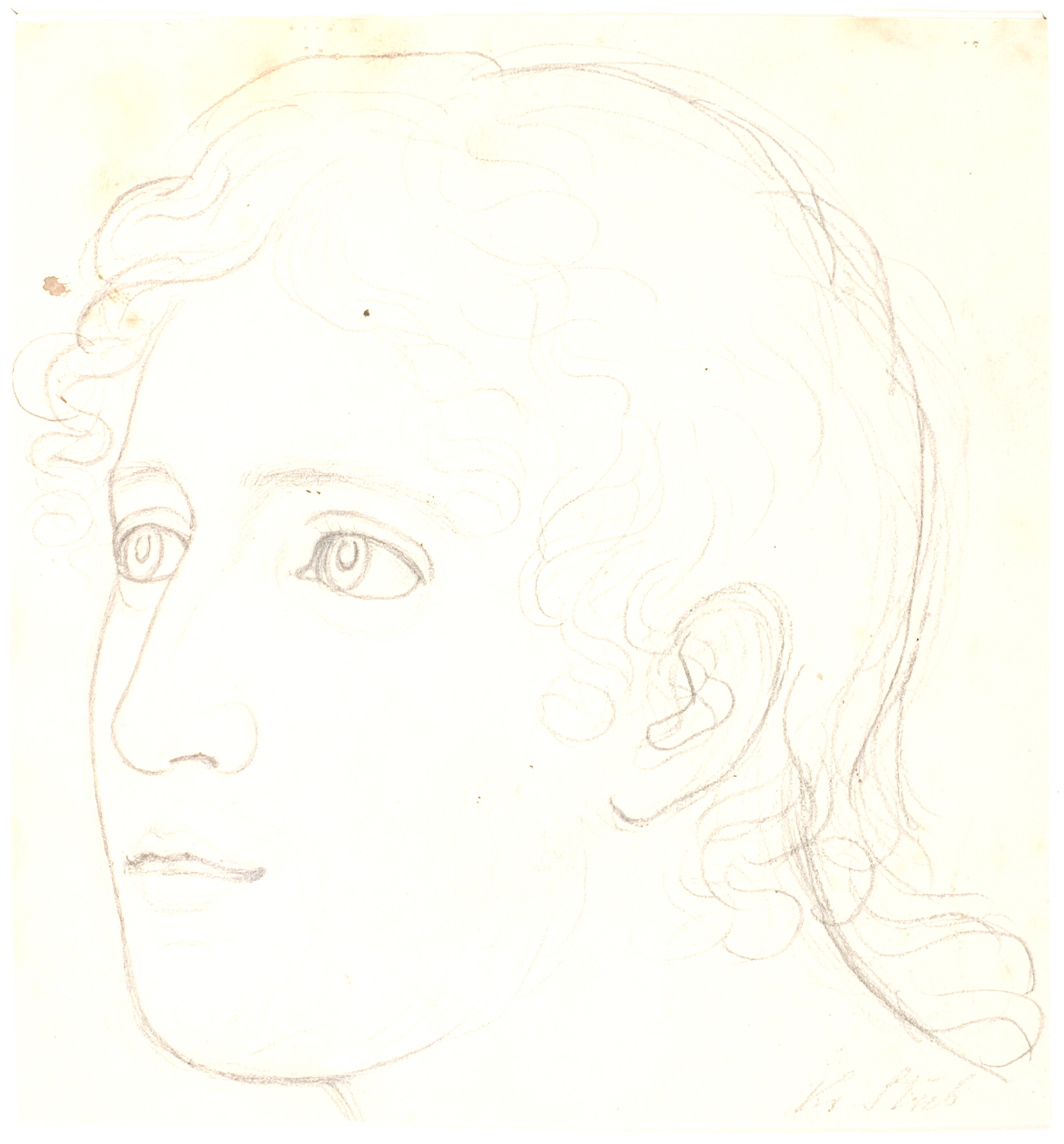 Studiehoved af Hother. Trekvartprofil