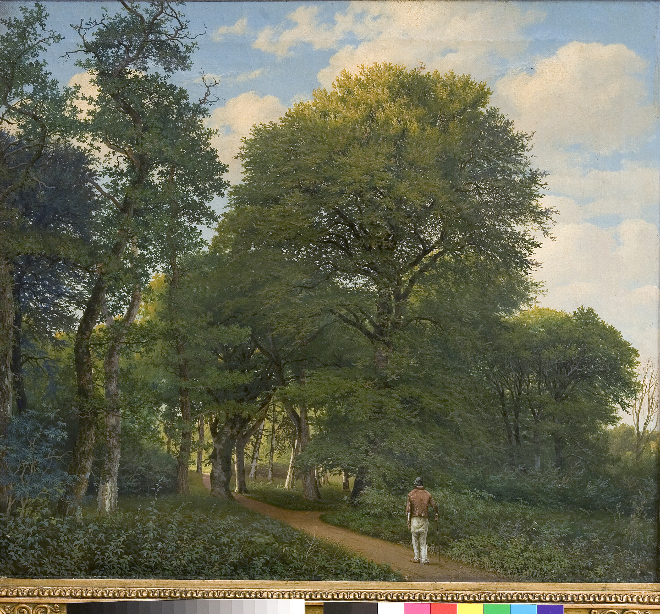 Et skovparti i Charlottenlund. Aften