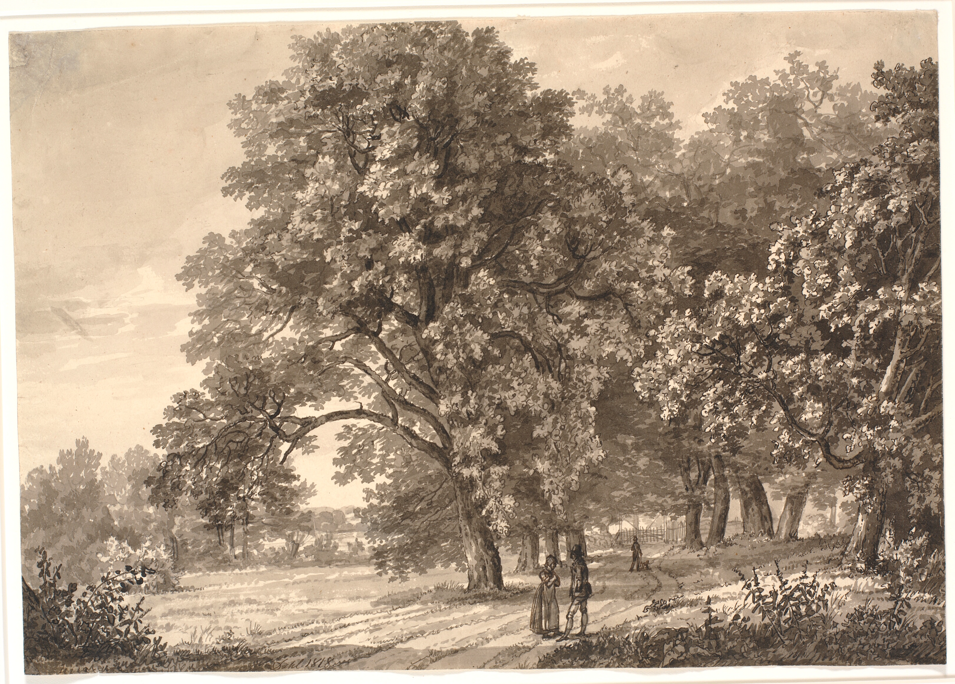 Skovvej. Prospekt ved Sorø