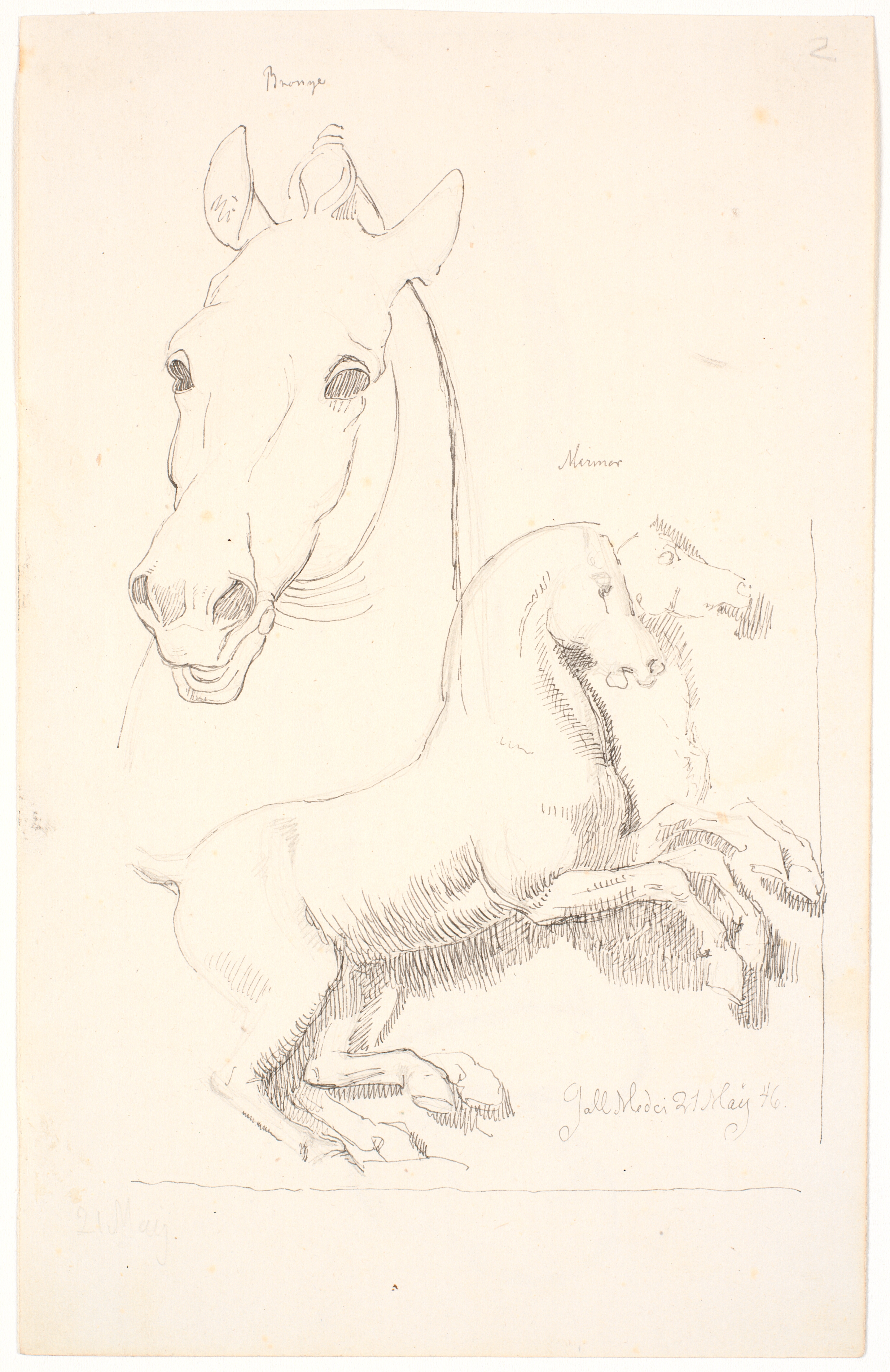 Studier efter antikke skulpturer. Øverst et hestehoved, nederst et relief med to heste