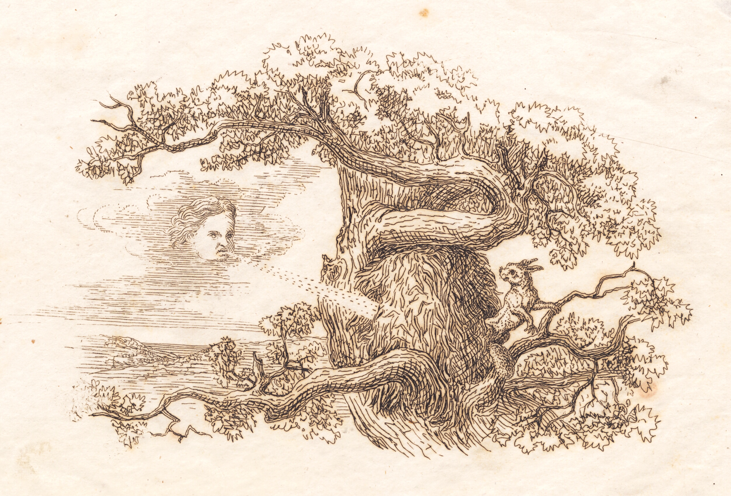 Illustration til "Halvhundrede Fabler for Børn" af Hey