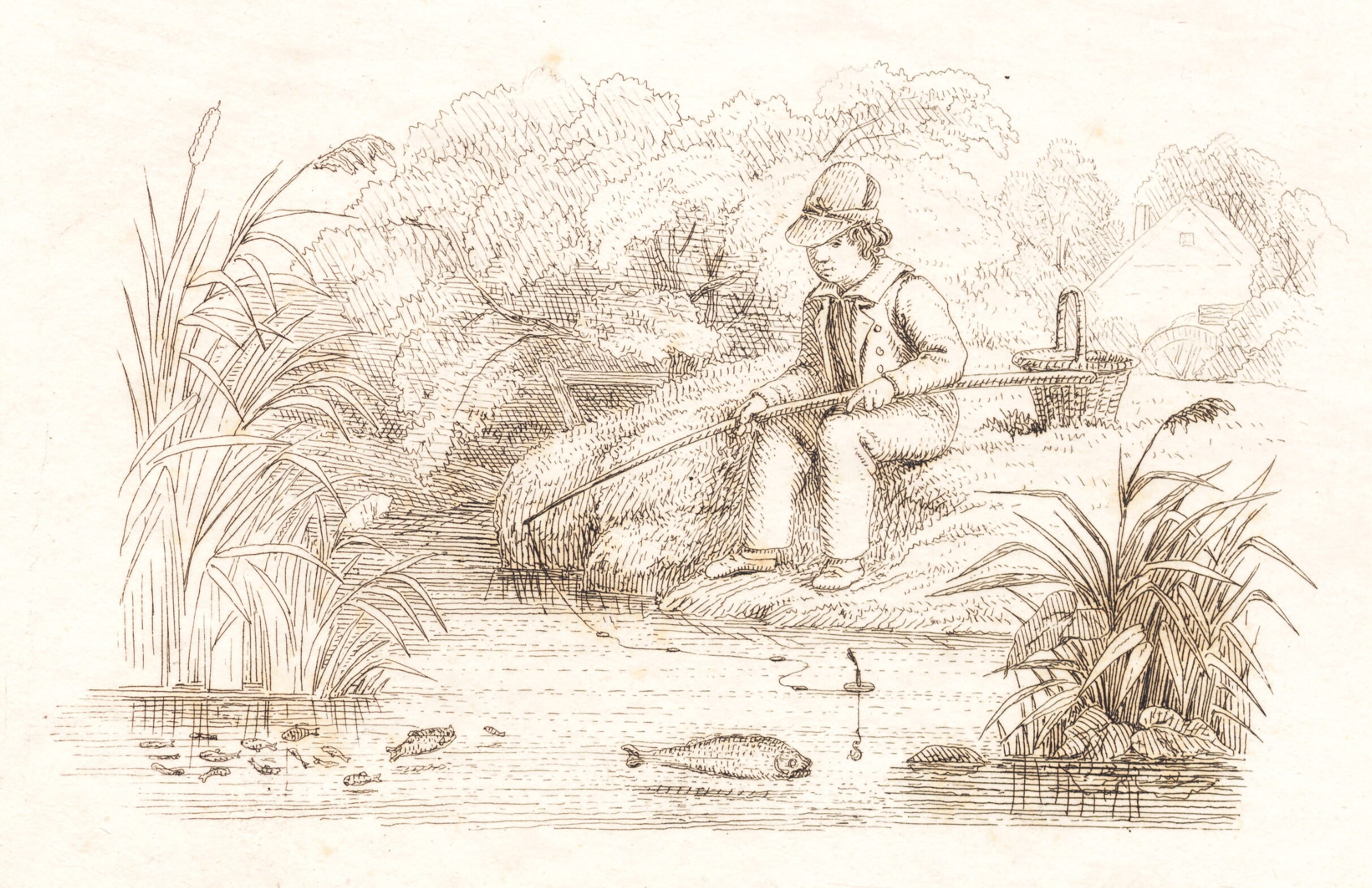 Illustration til "Halvhundrede Fabler for Børn" af Hey