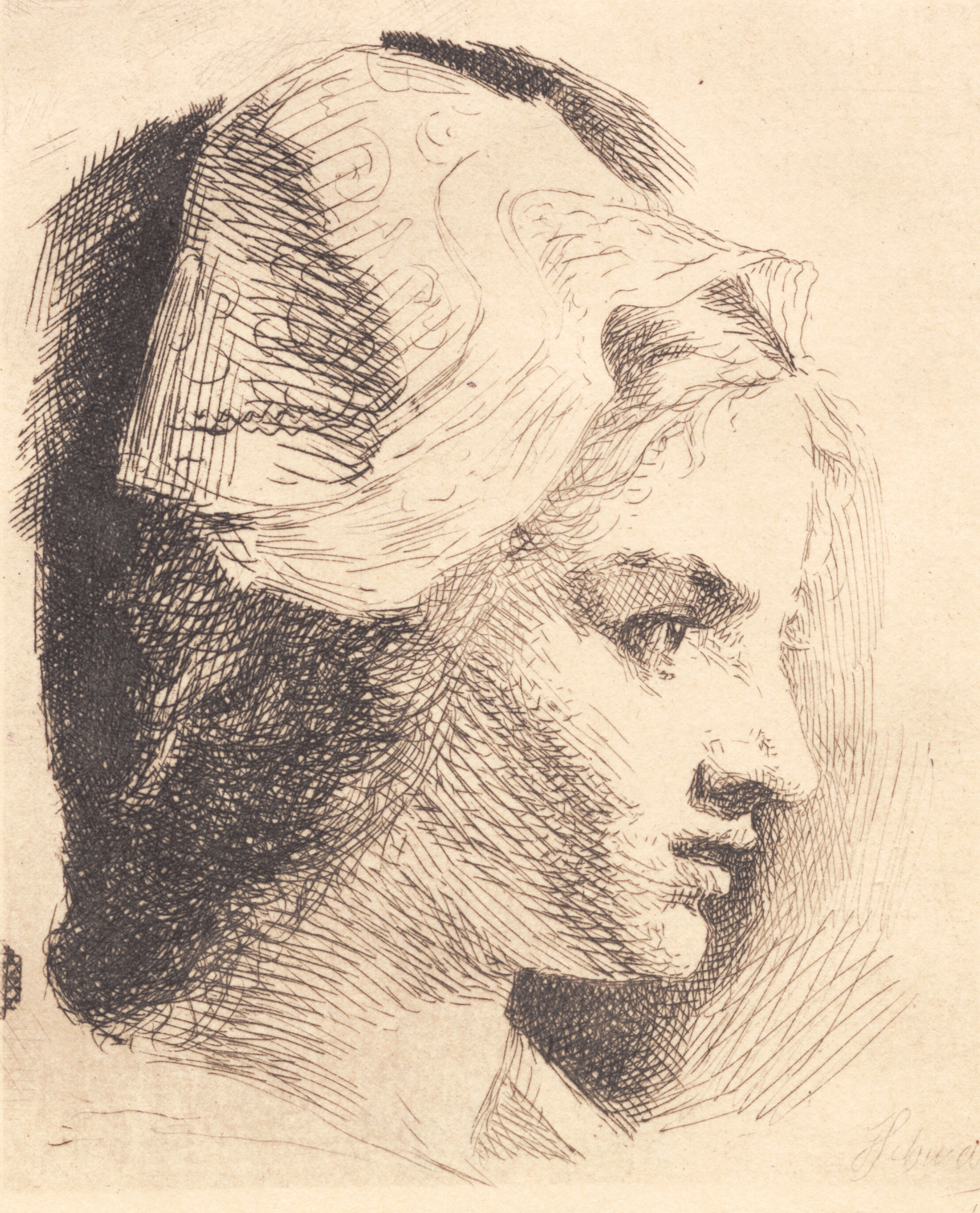 Prøveplade: Profil af en ung kvinde med spids hue