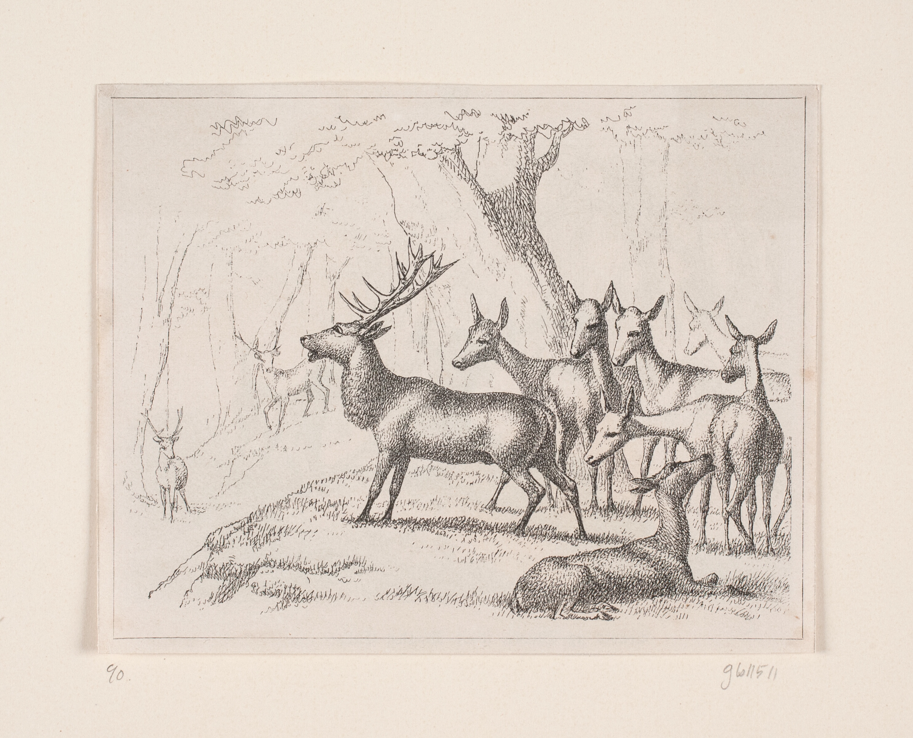 Illustration til digtet "Hjorten" af Gotfred Rode