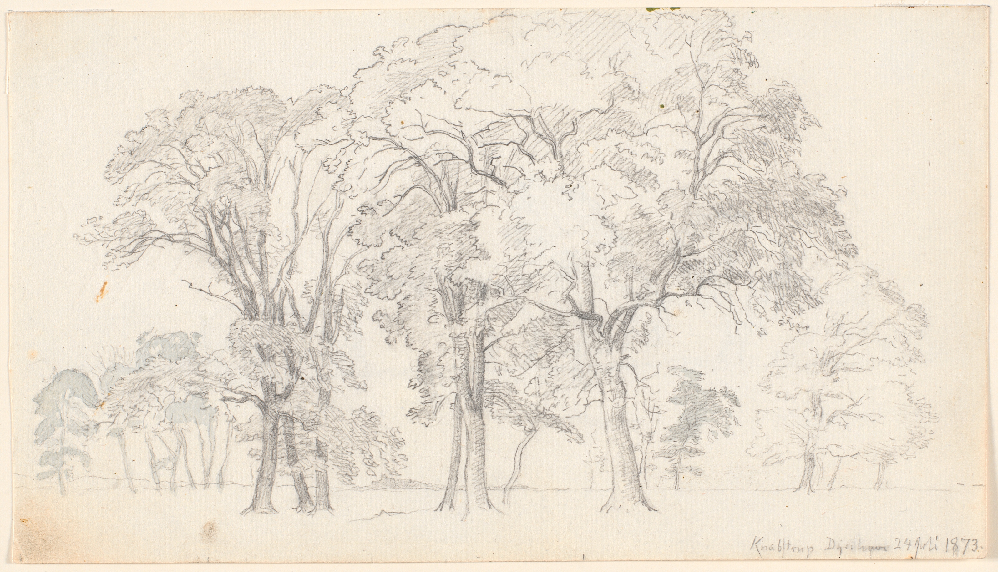 Parti fra Knabstrub Dyrehave.