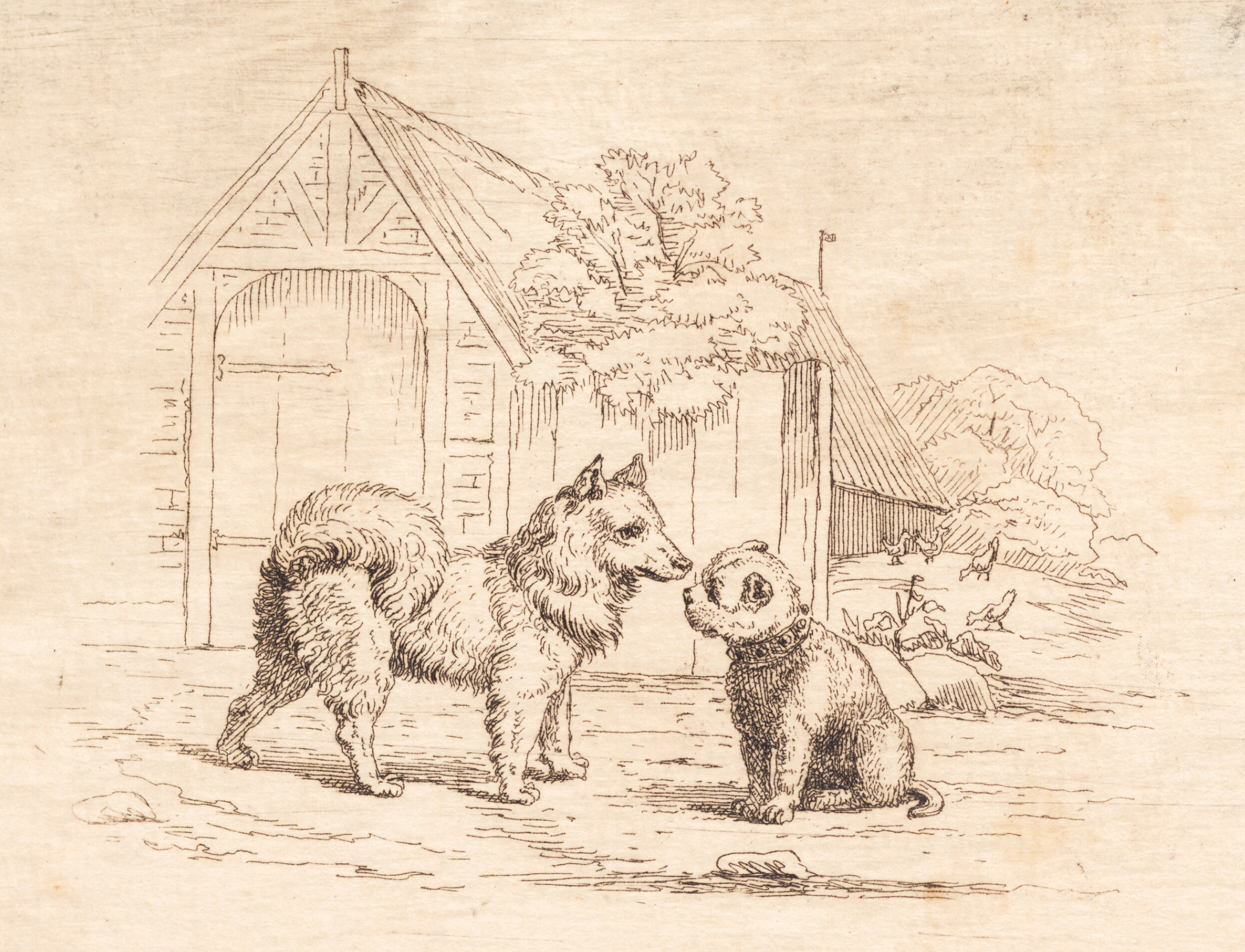 Illustration til "Halvhundrede Fabler for Børn" af Hey