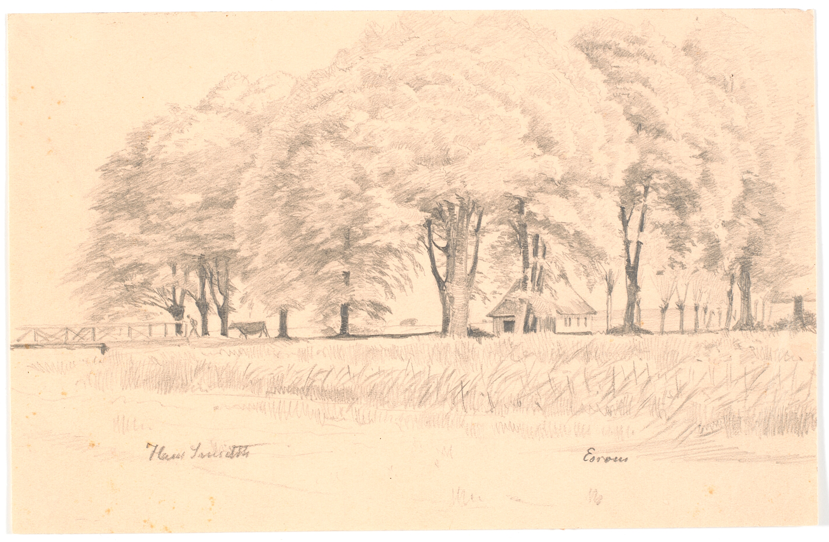 Landskab ved Esrom, i forgrunden en å med en bro, i baggrunden høje træer og et hus