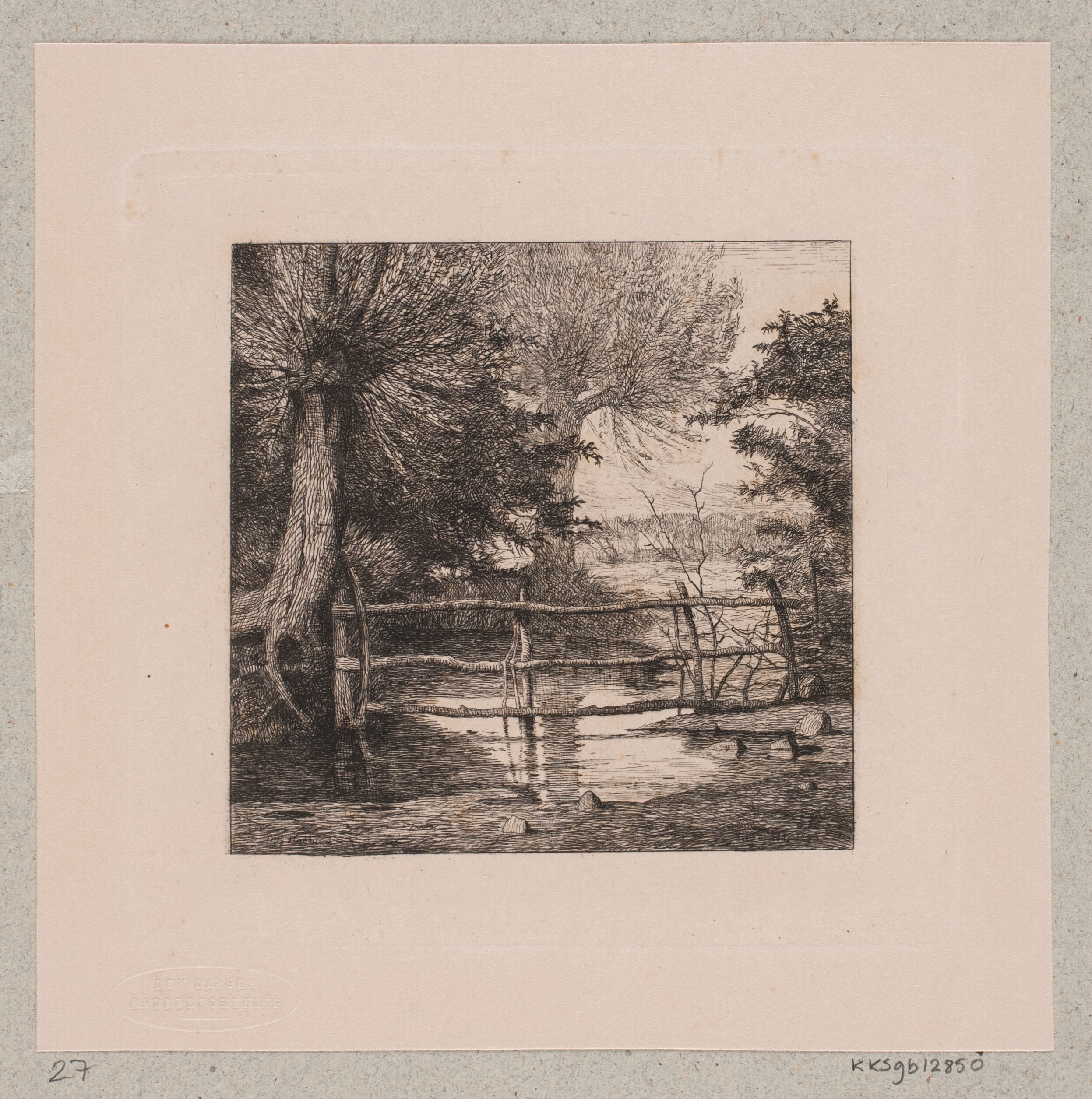 Piletræer ved et vandløb