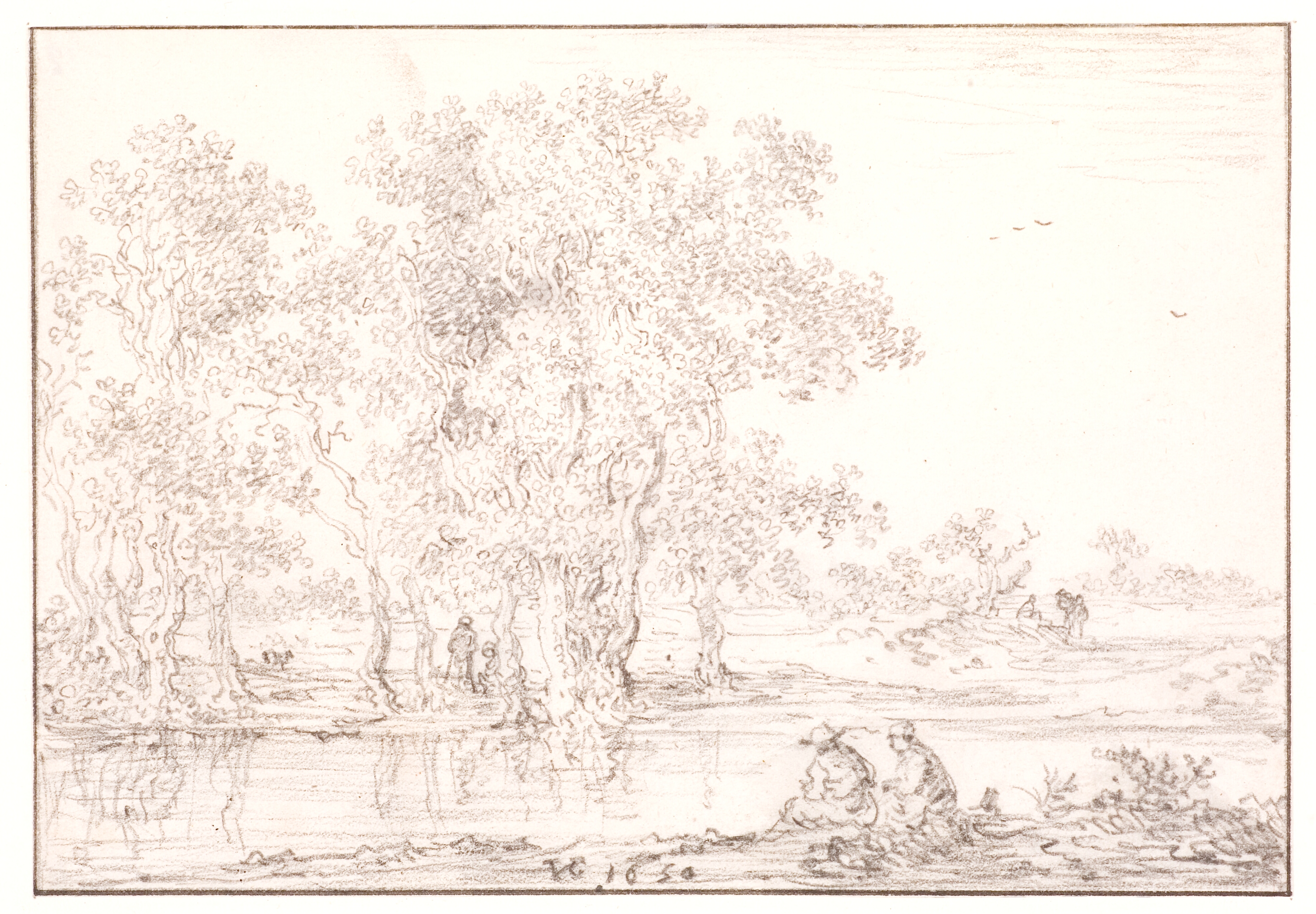 Trægruppe ved en flodbred