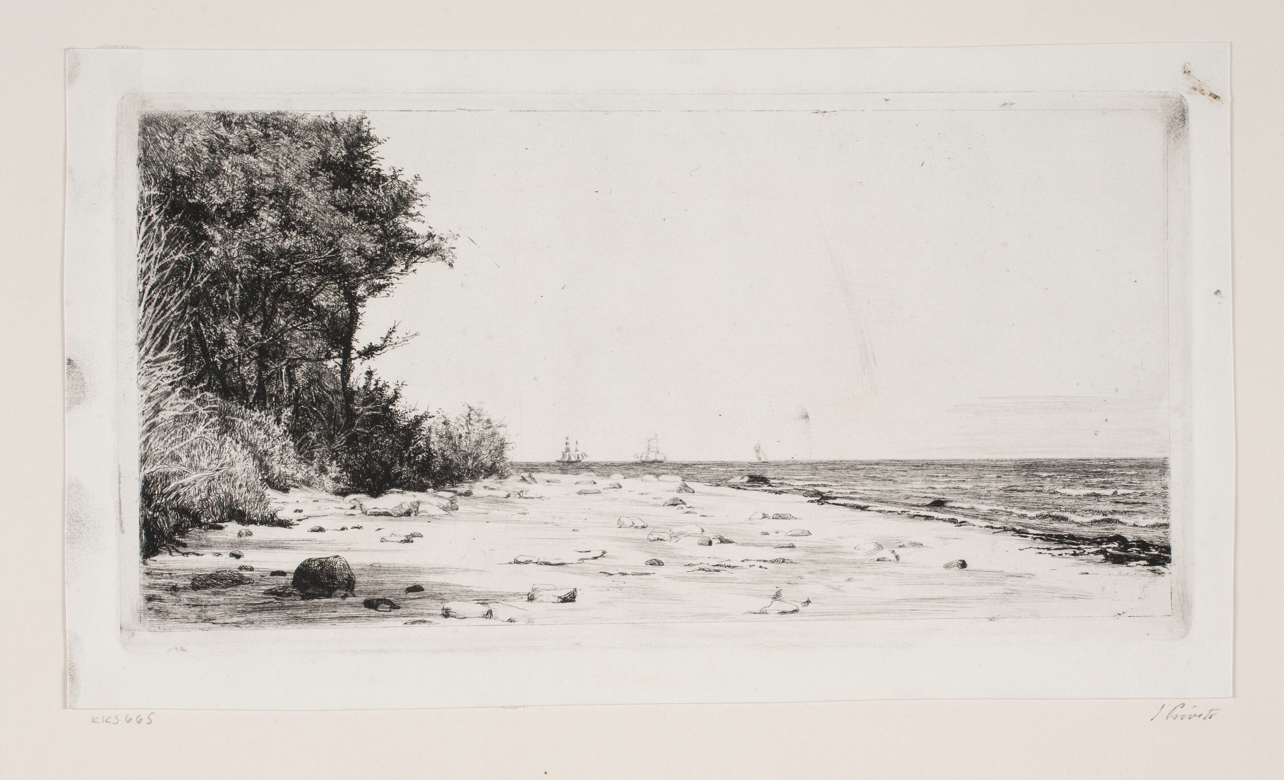 Fra Sjællands nordkyst. Hornbækplantagen