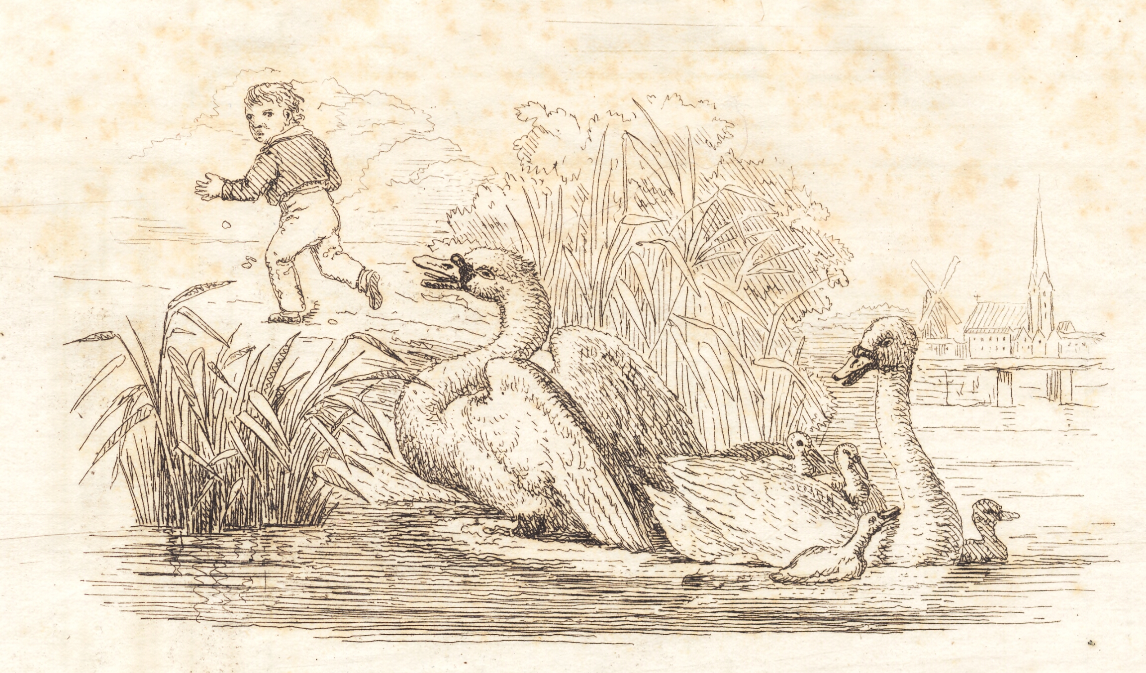 Illustration til "Halvhundrede Fabler for Børn" af Hey