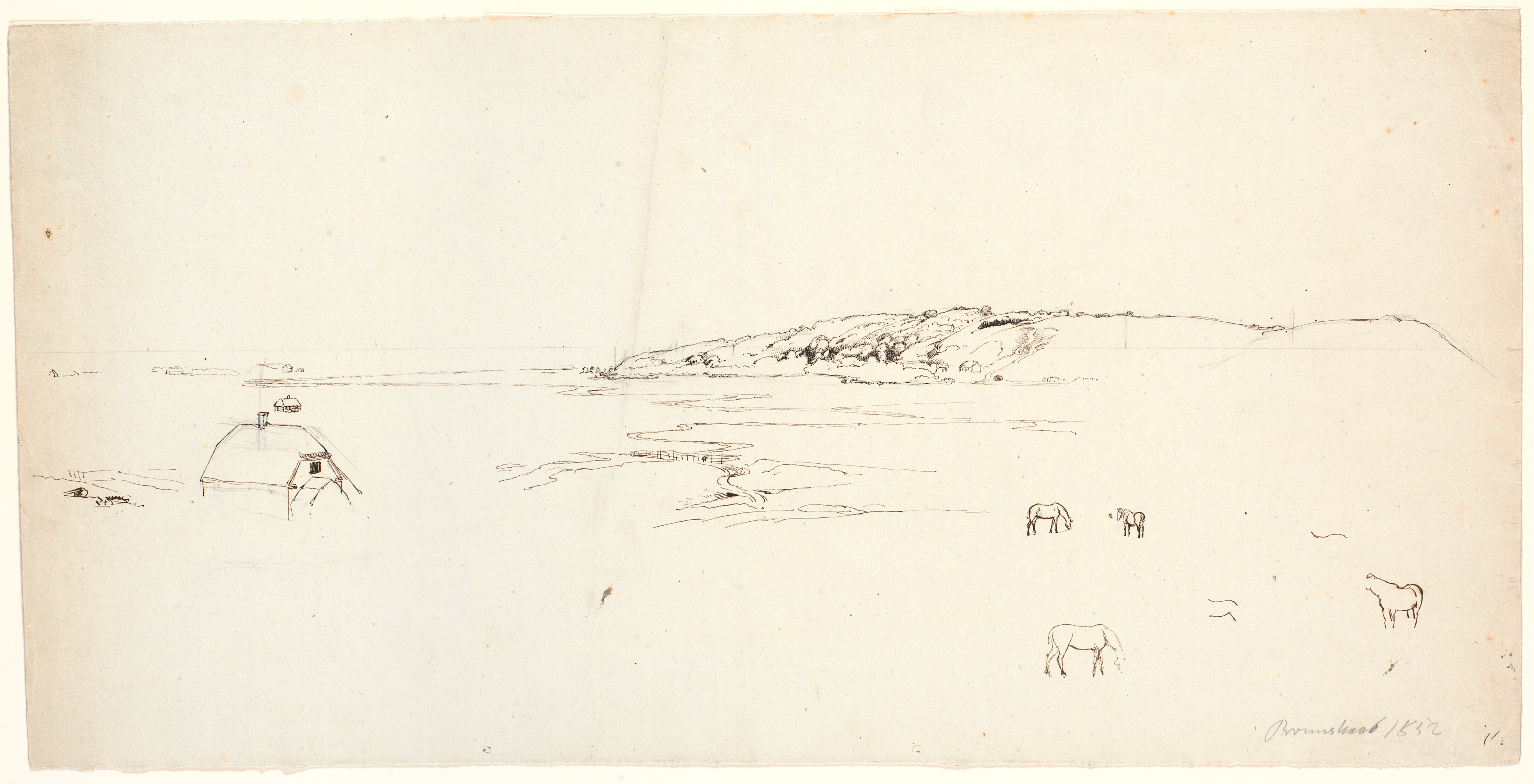 Vidtstrakt landskab, t.h. bakker og i forgrunden heste