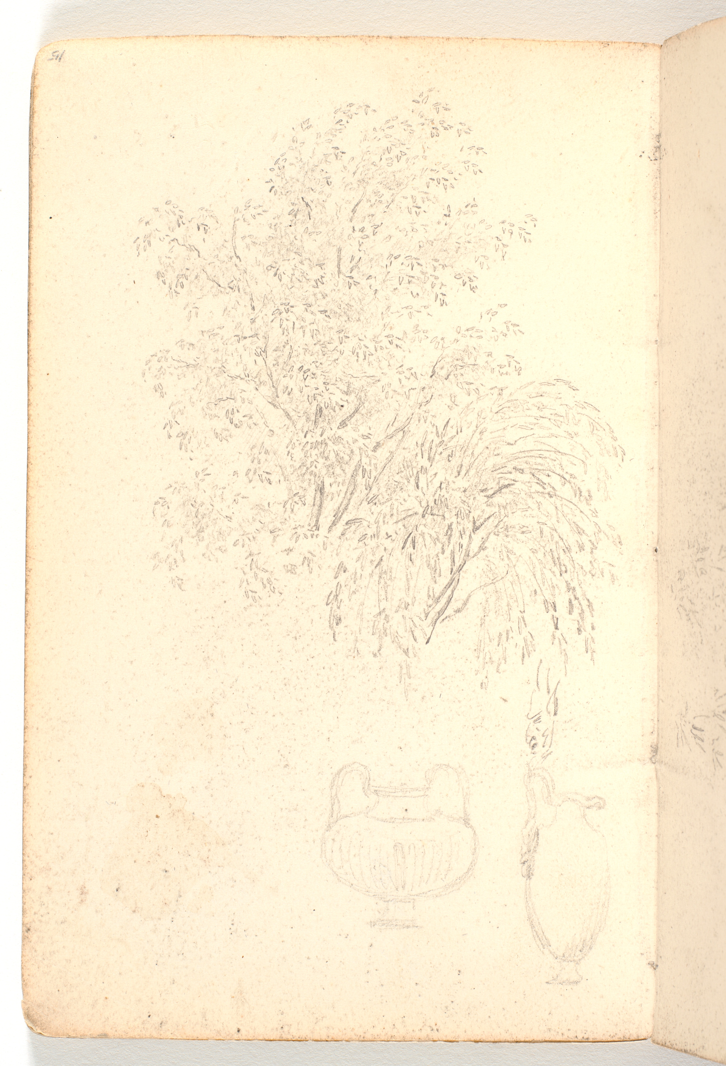 Studier af trætop, samt to antikke vaser og satyrmaske