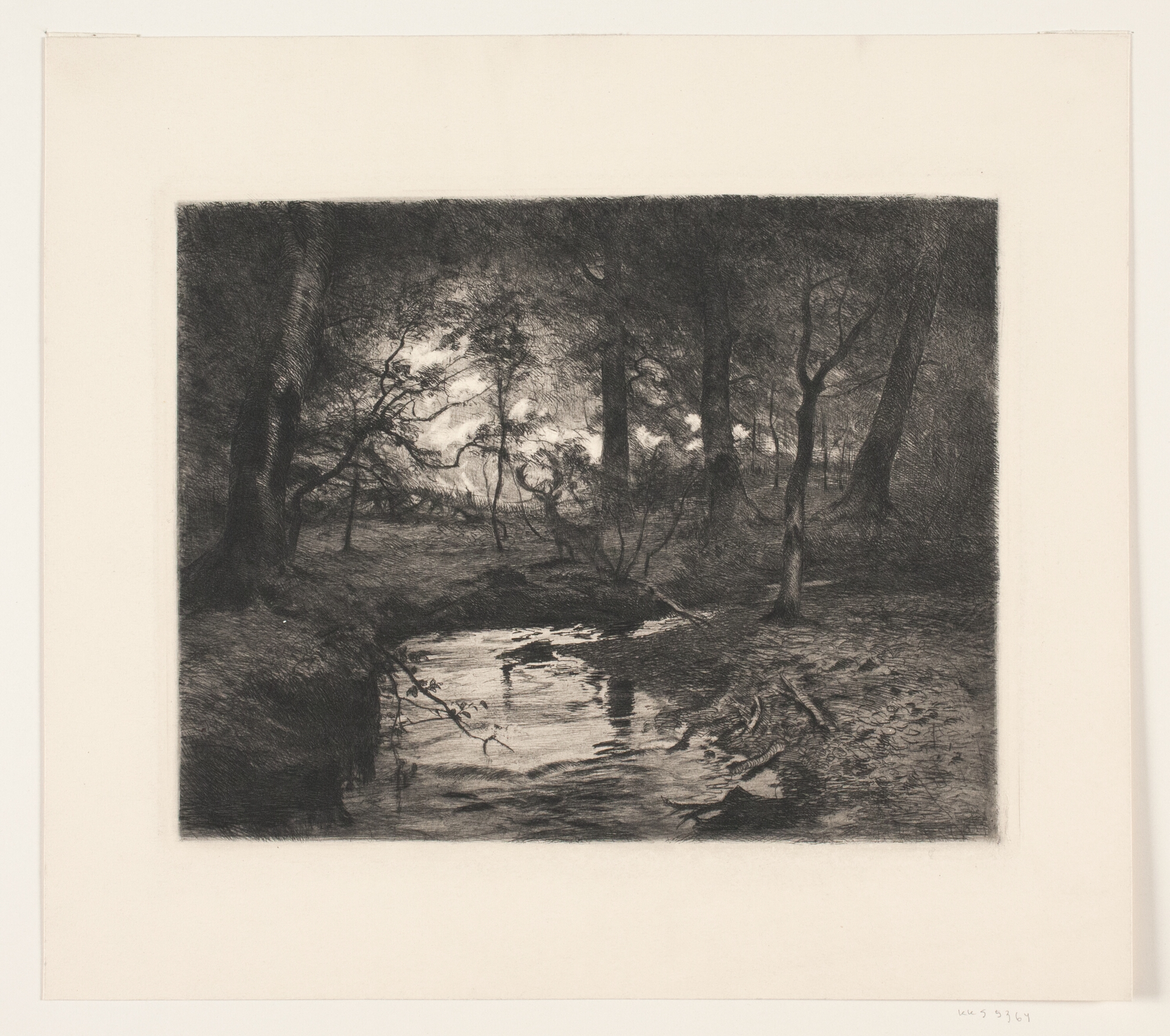 Aa i Borrevejle Skov