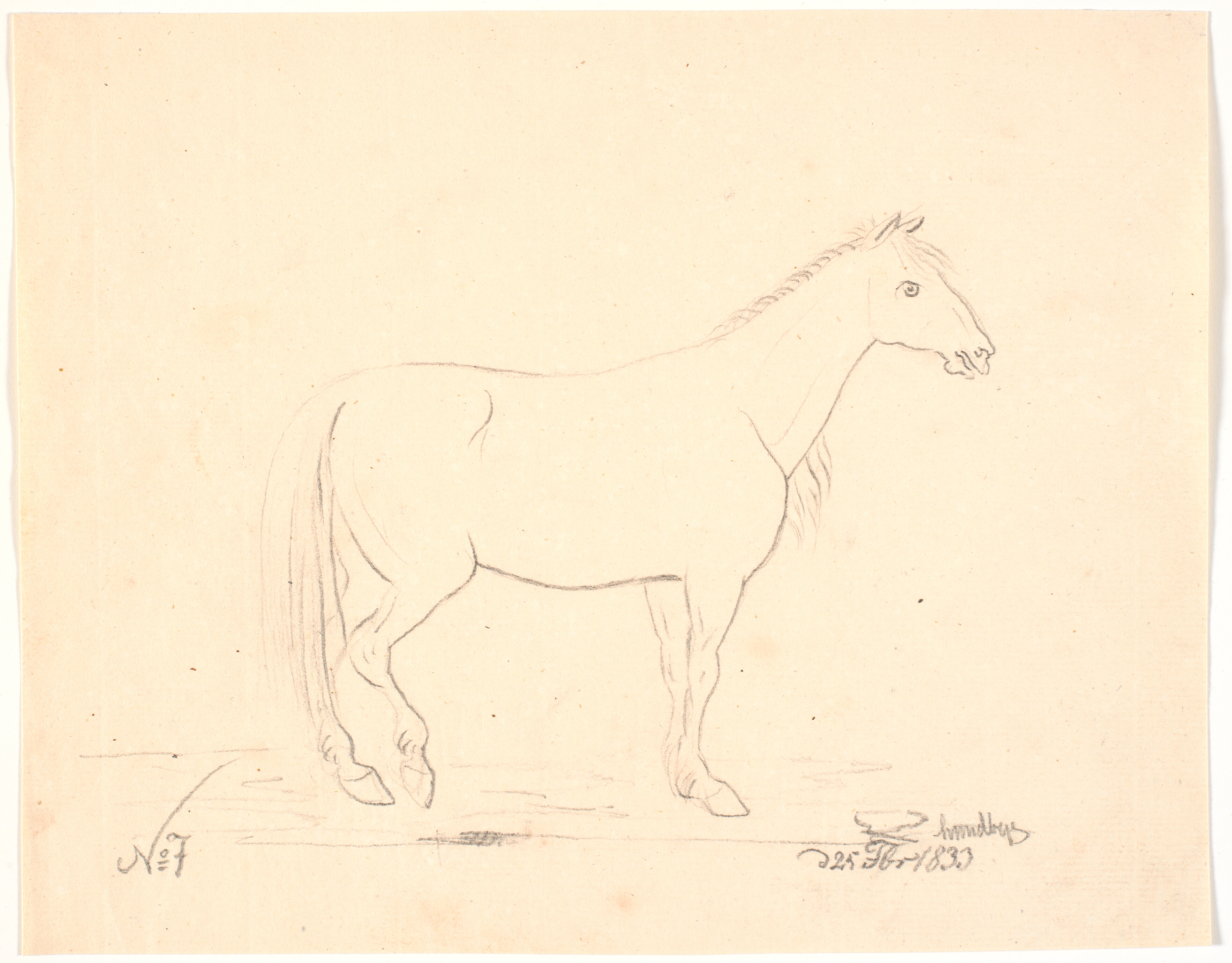 Stående hest i profil t.h..