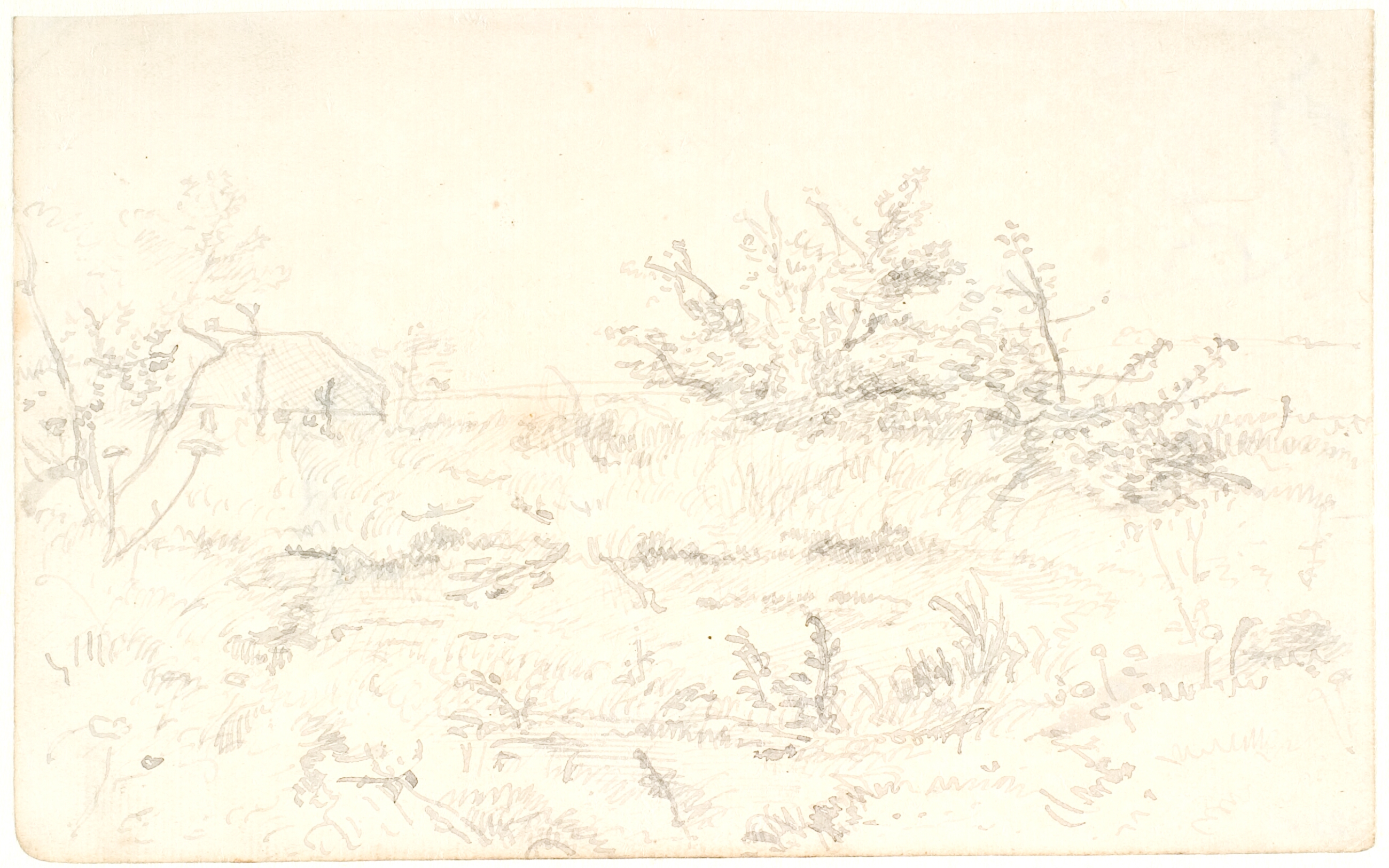 Landskab med et kær og buske, i baggrunden t.v. et hus