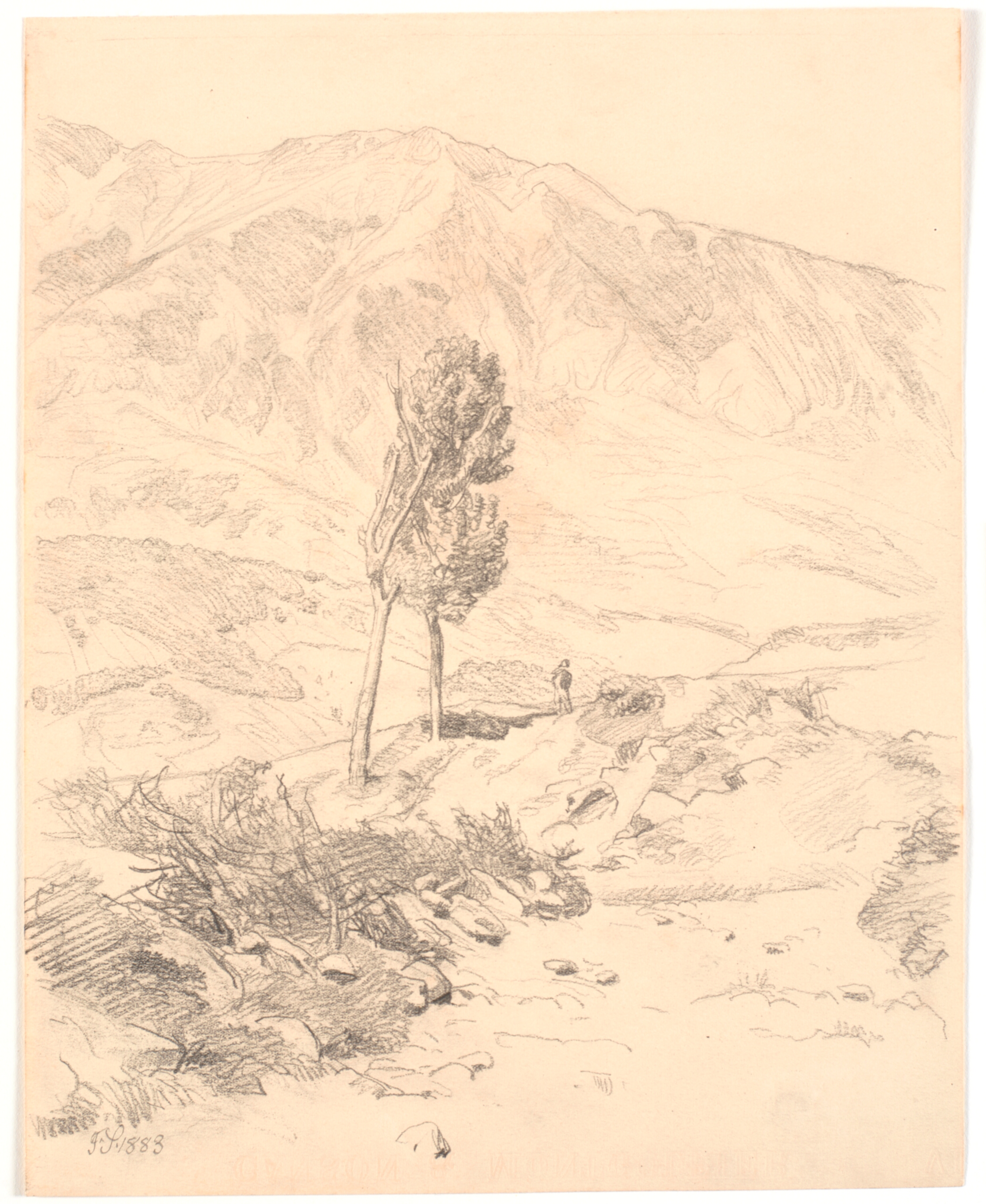 Italiensk bjerglandskab med to træer