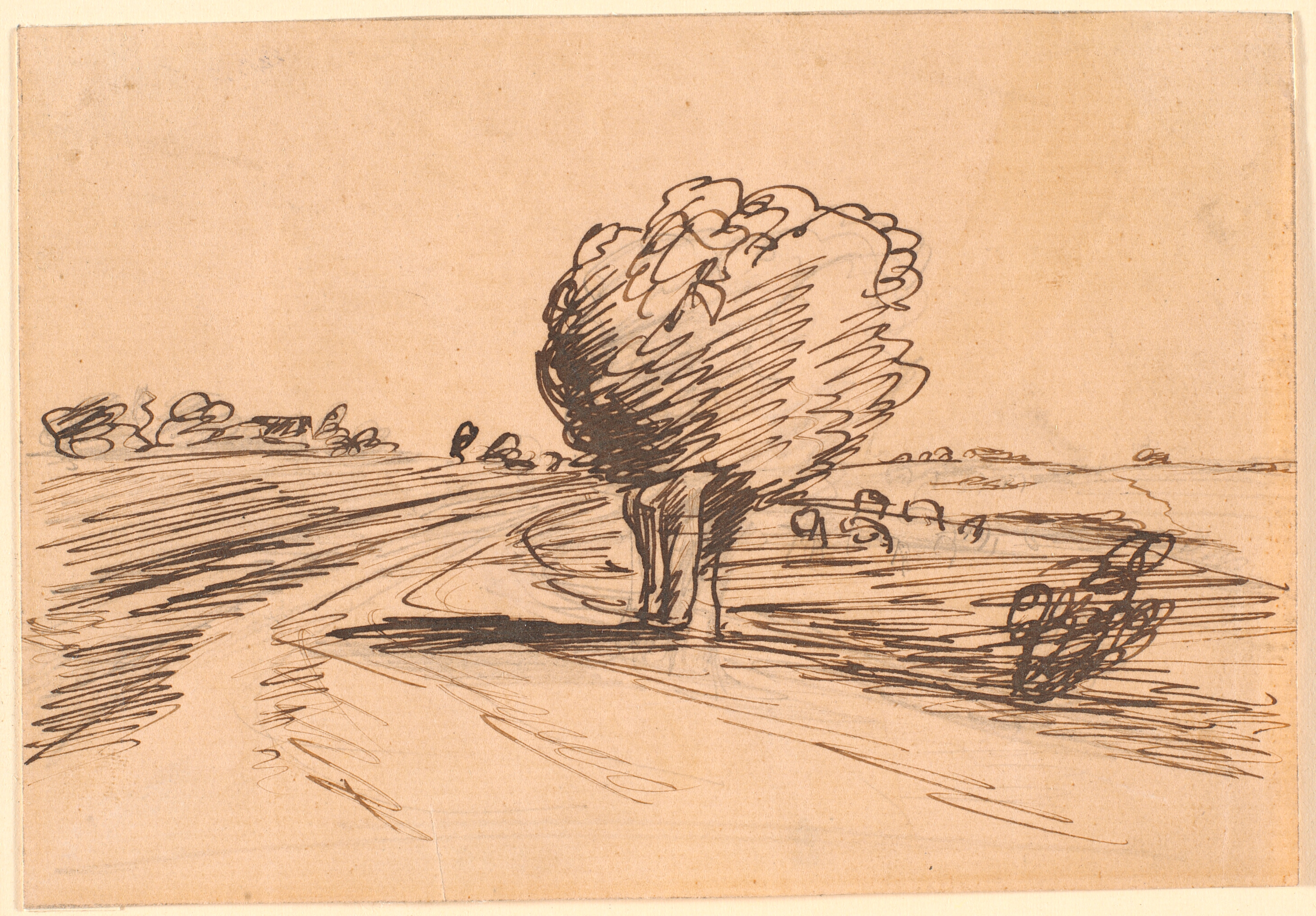 Vejsving med piletræ