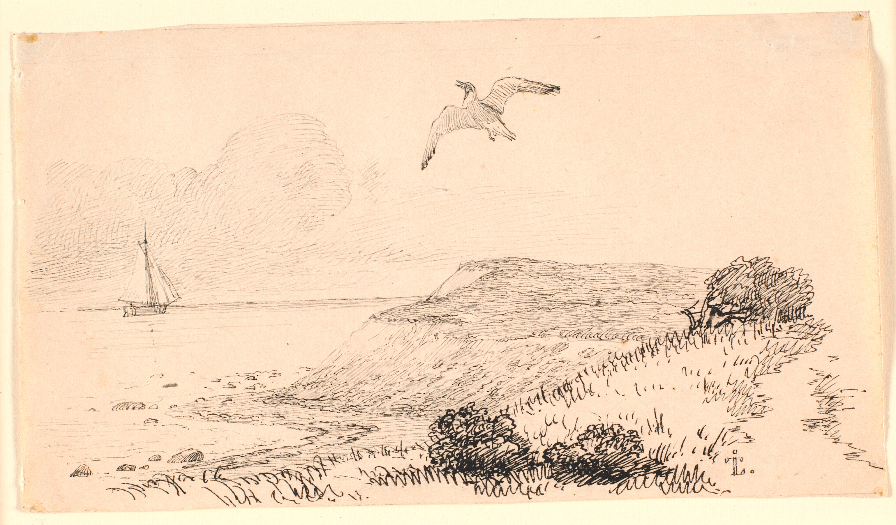 Mågen. Illustration til Kaalunds "Fabler for Børn". Se kommentar fra arkkatalog.