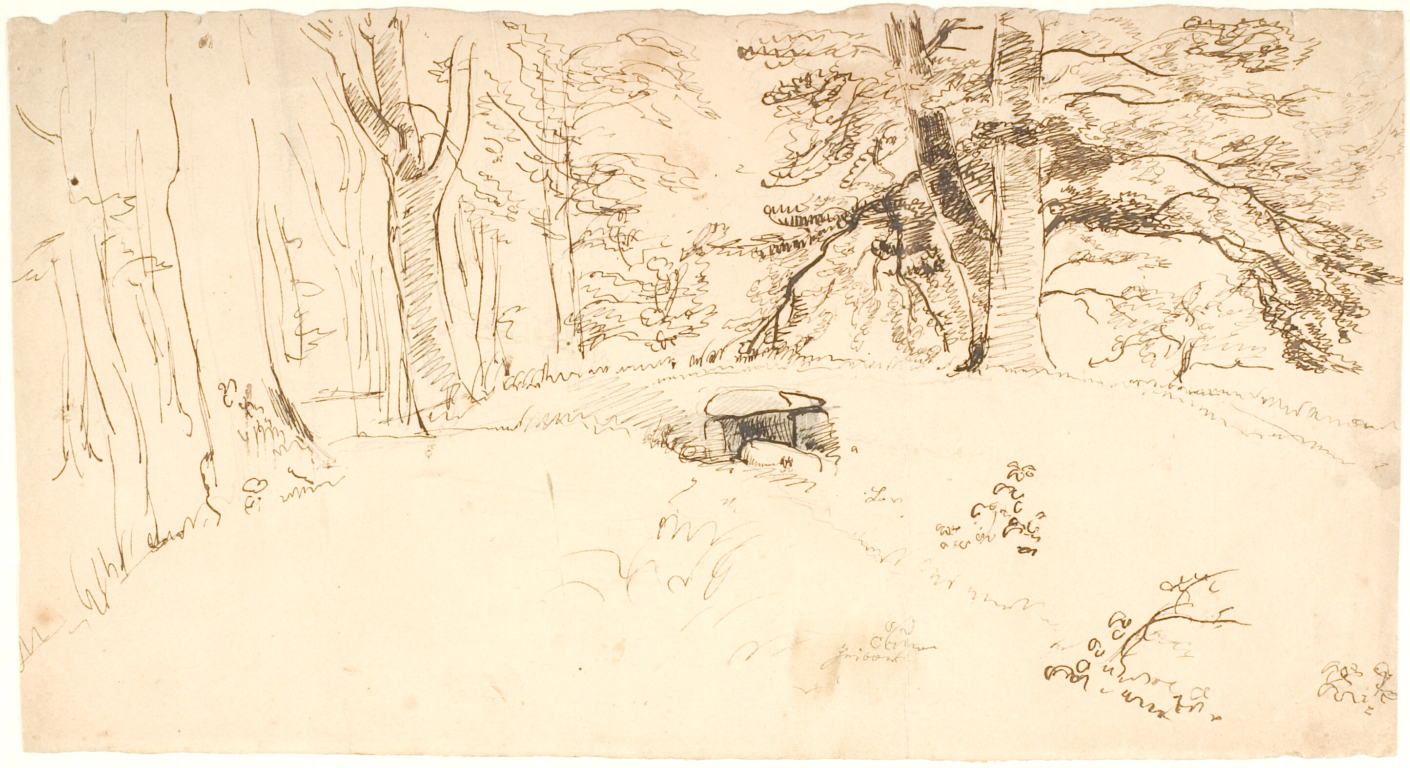 En træbevokset kæmpehøj med indgang til gravkammer