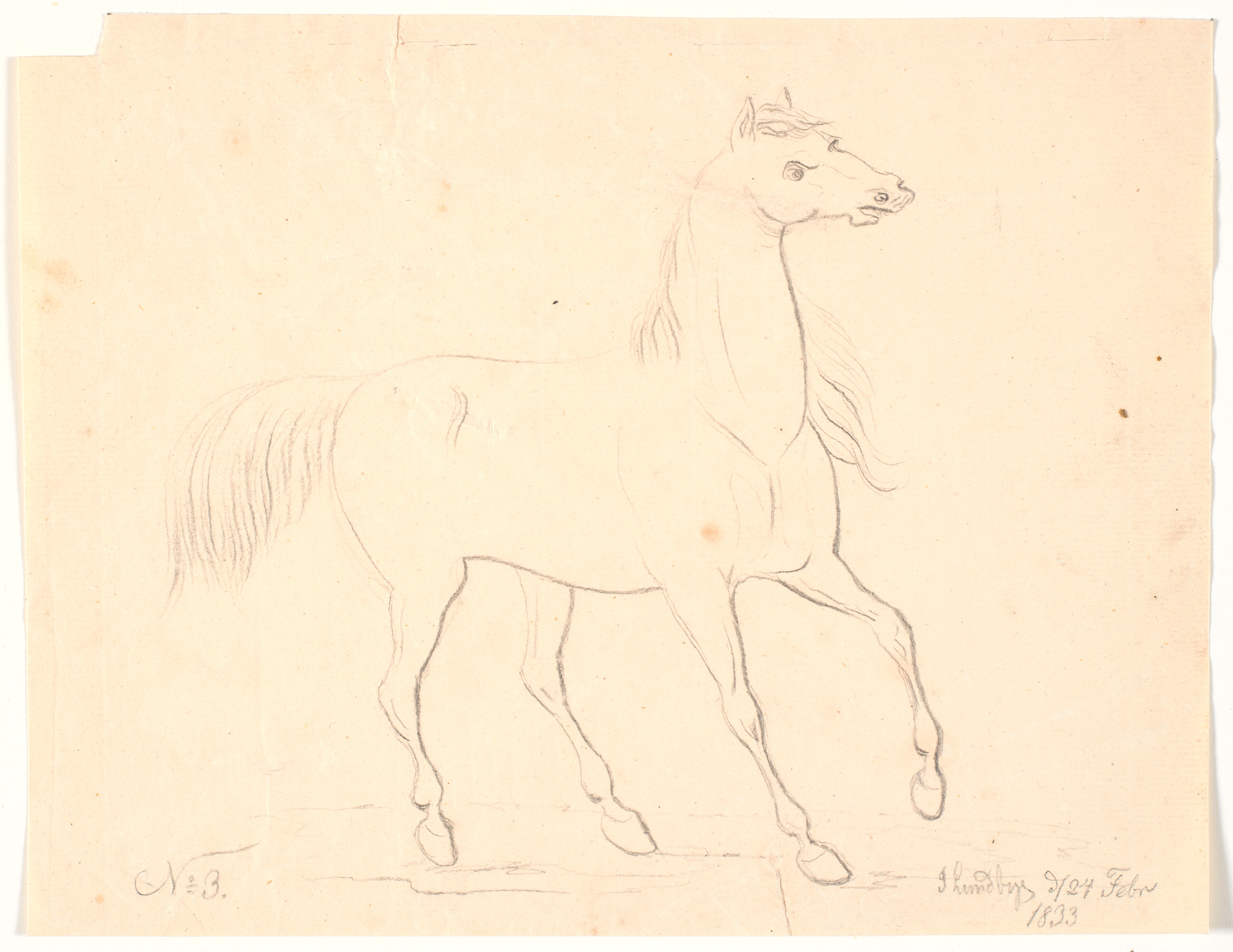 Hest, der standser op