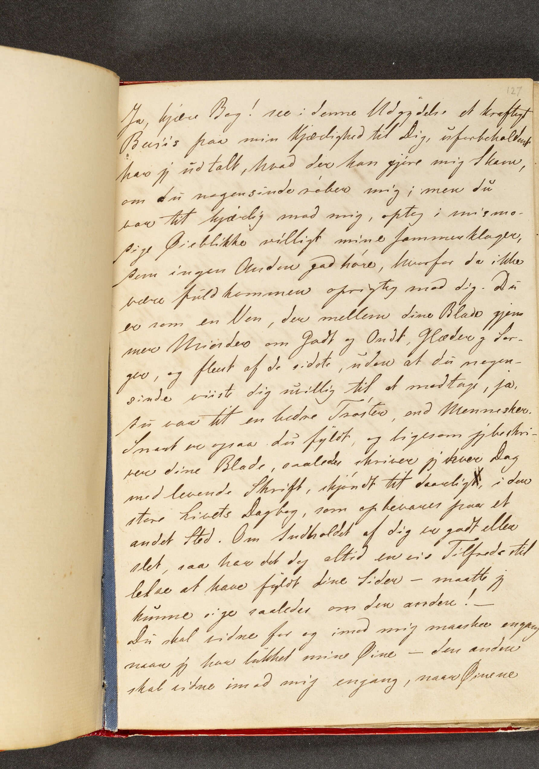 Dagbog. Side 127