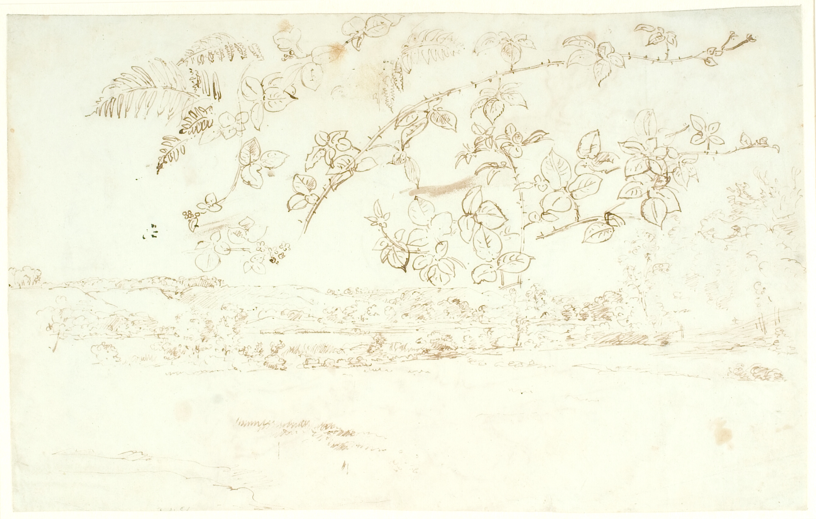 Landskabsskitse, udsigt mod bakker. Foroven studier af rosengrene