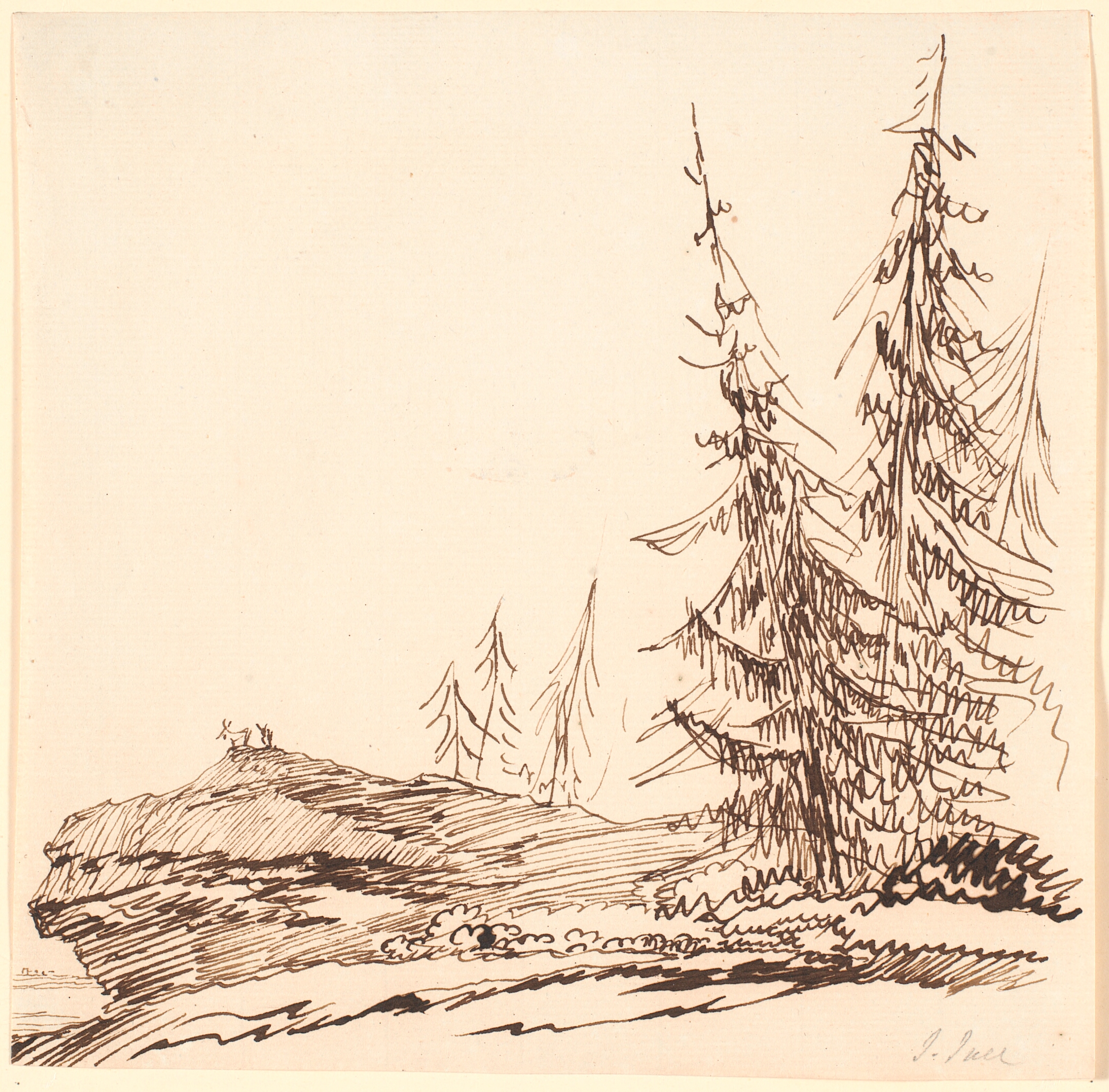 Et klippefremspring med grantræer