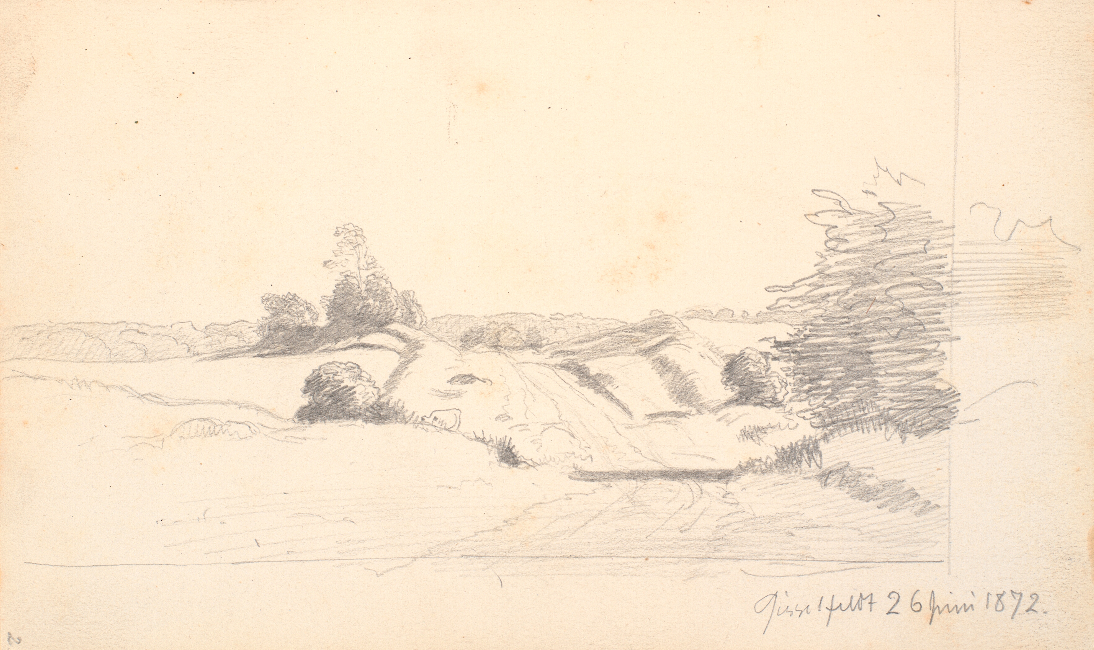 En markvej med lidt buske i forgrunden. I baggrunden et skovbryn