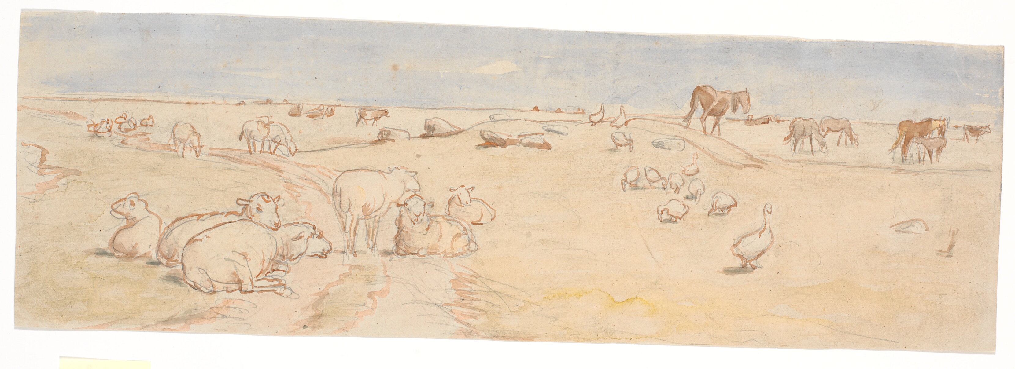 Får og gæs på Saltholm (udkast til dekoration af punchebolle)